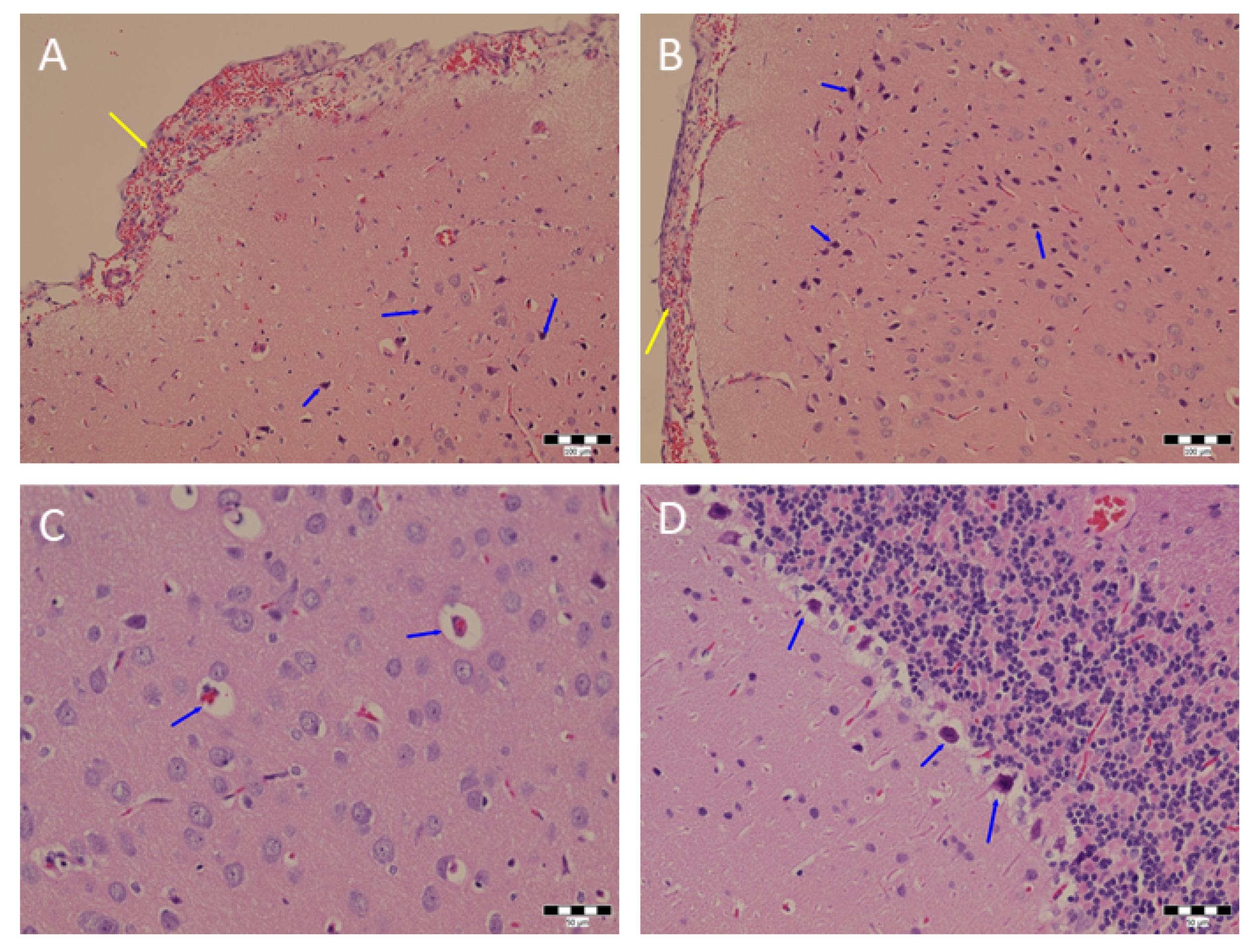 Sensors 22 05124 g005 550