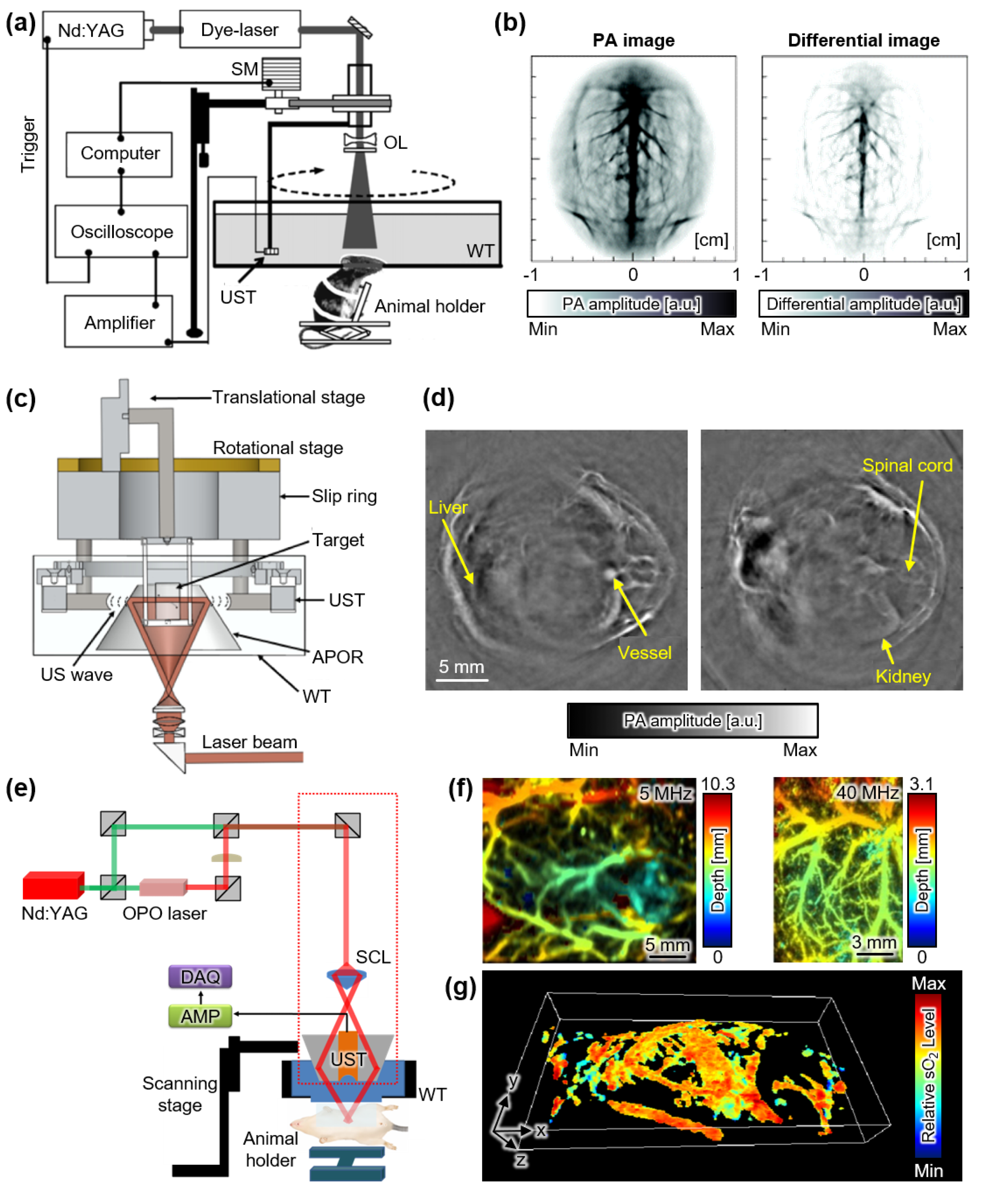 Sensors 22 05130 g001