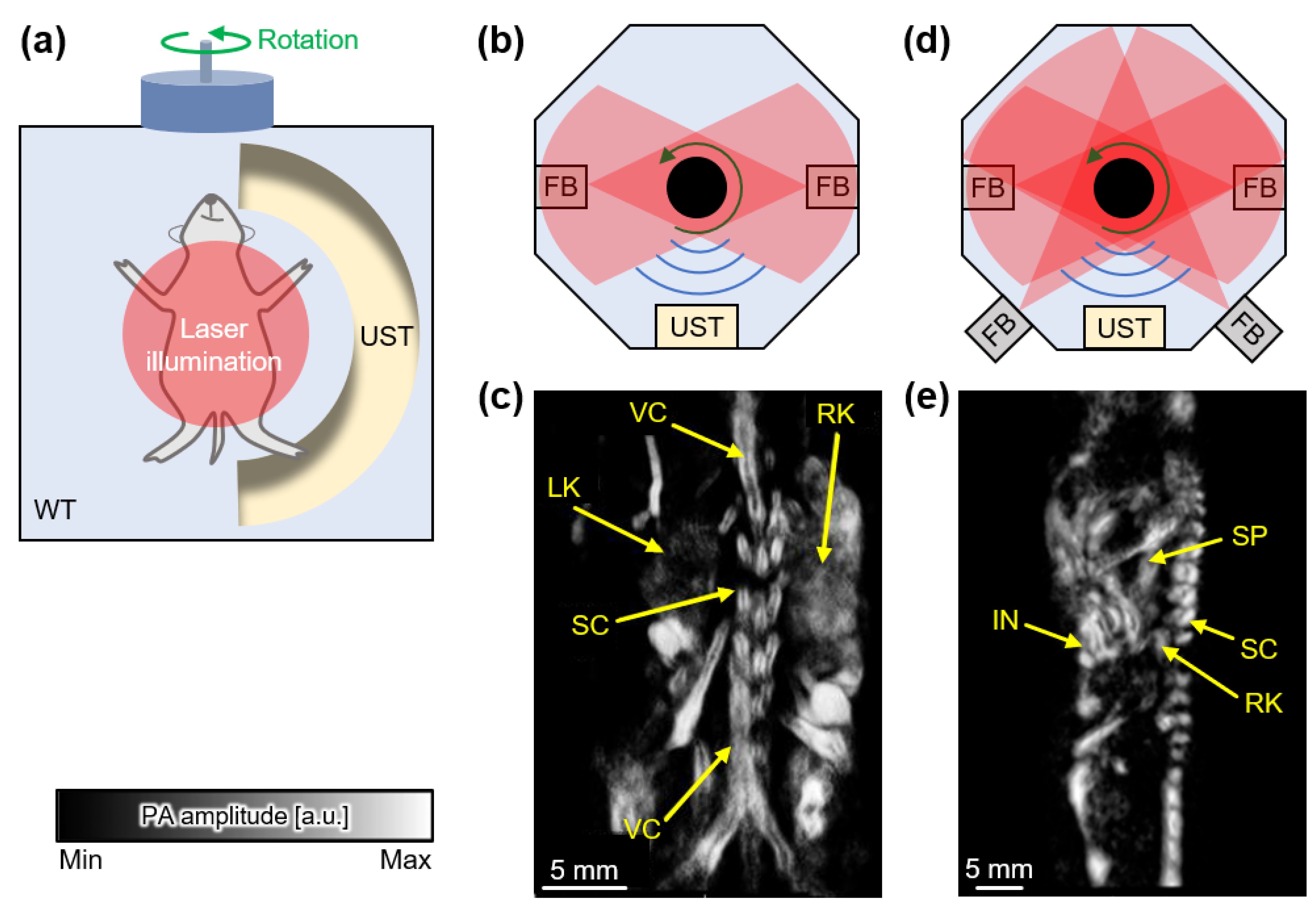 Sensors 22 05130 g003