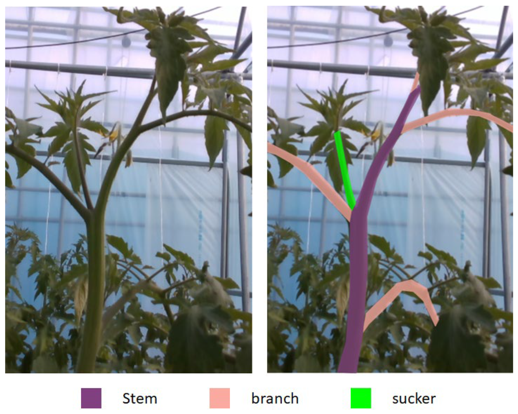 Sensors 22 05140 g001 550