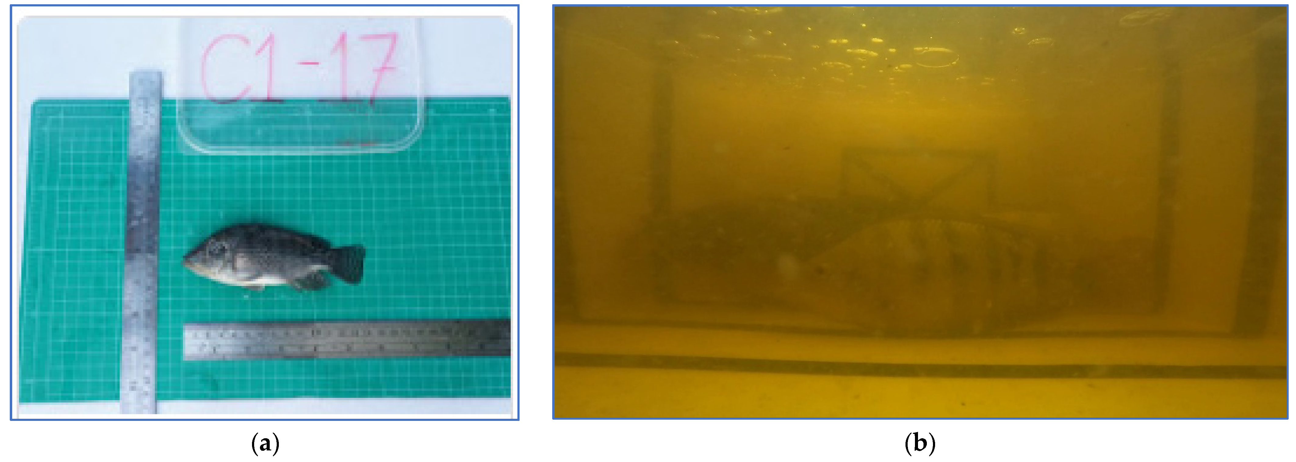 Sensors 22 05161 g003 550