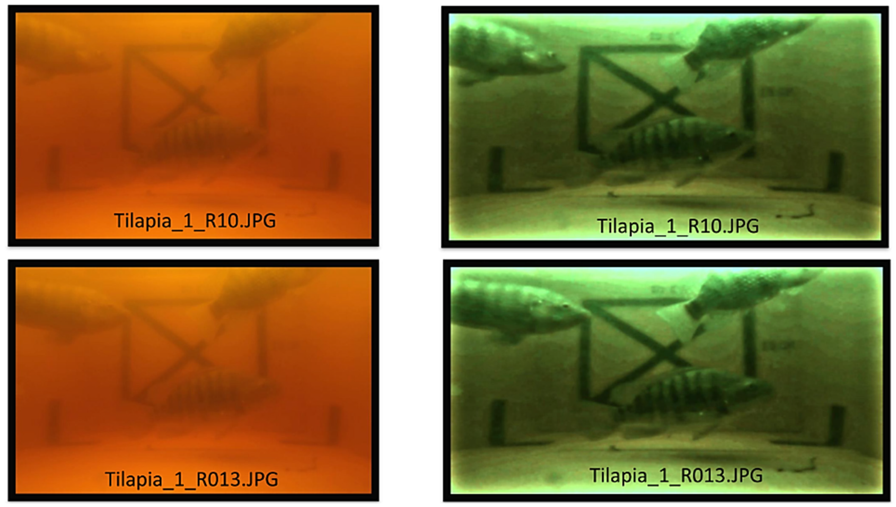 Sensors 22 05161 g004 550