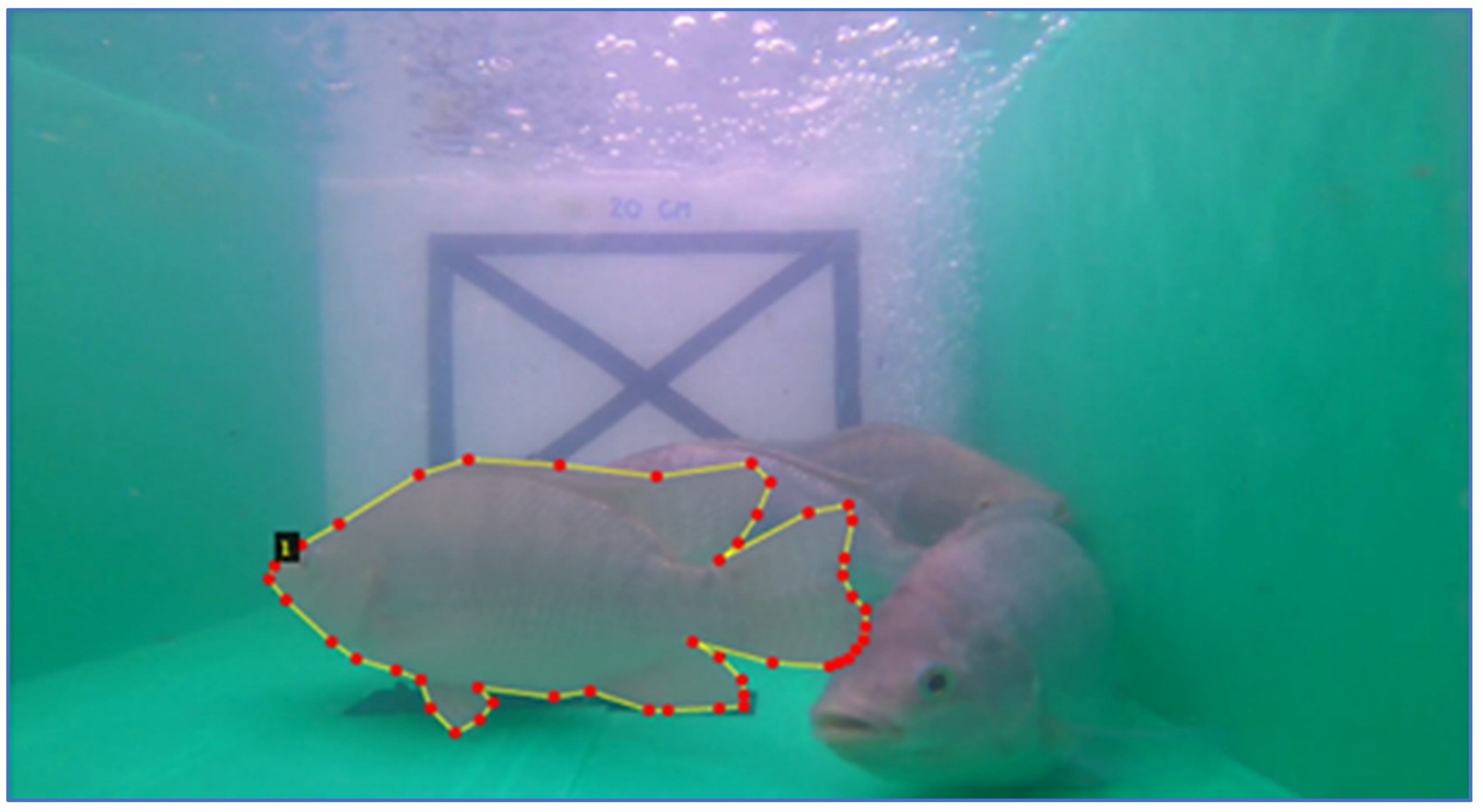 Sensors 22 05161 g005 550