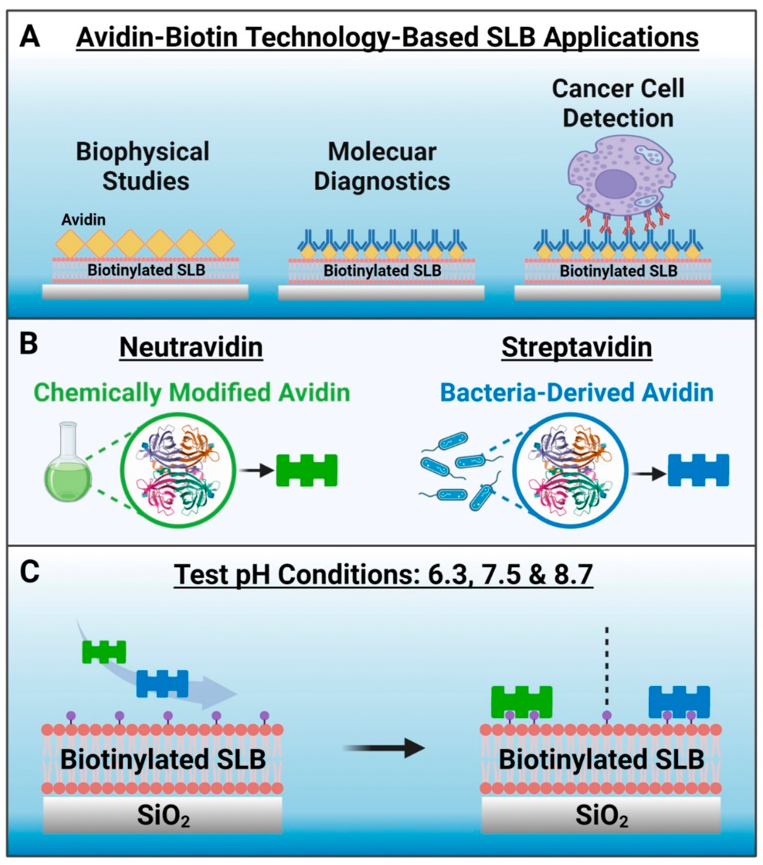 Sensors 22 05185 g001 550