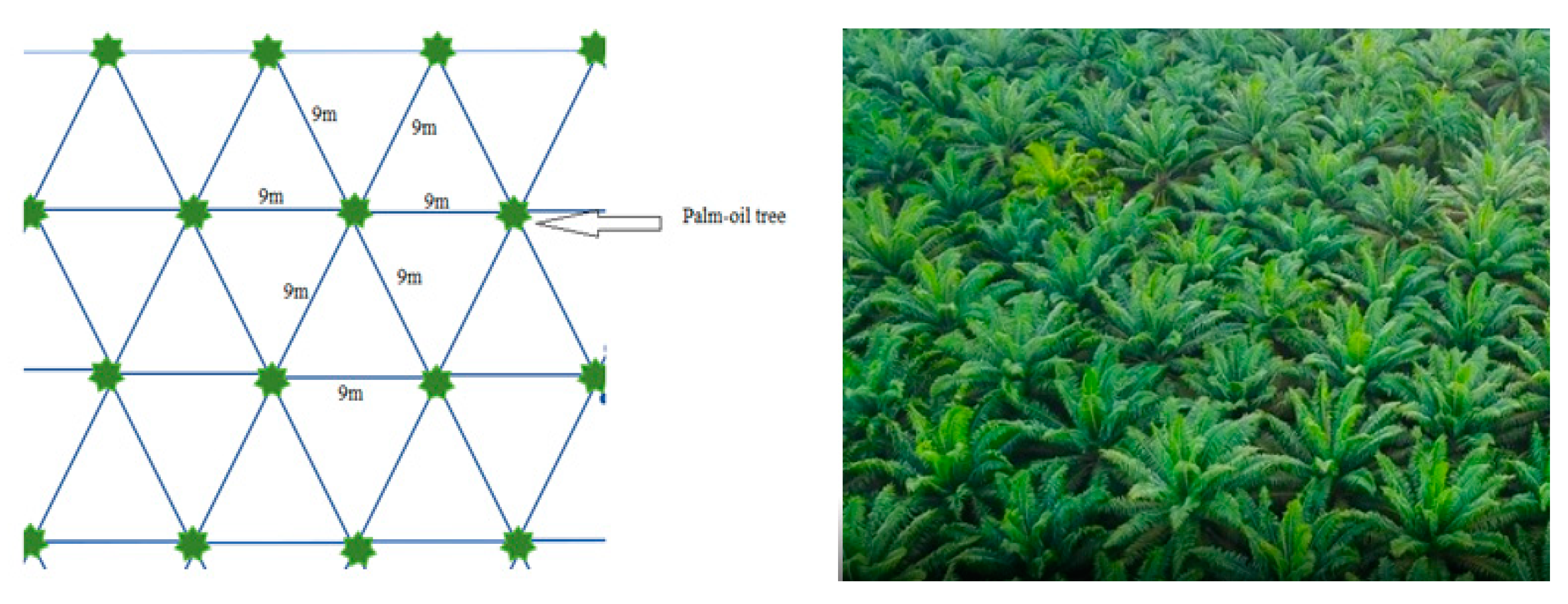Sensors 22 05397 g002 Sensors 22 05397 g002