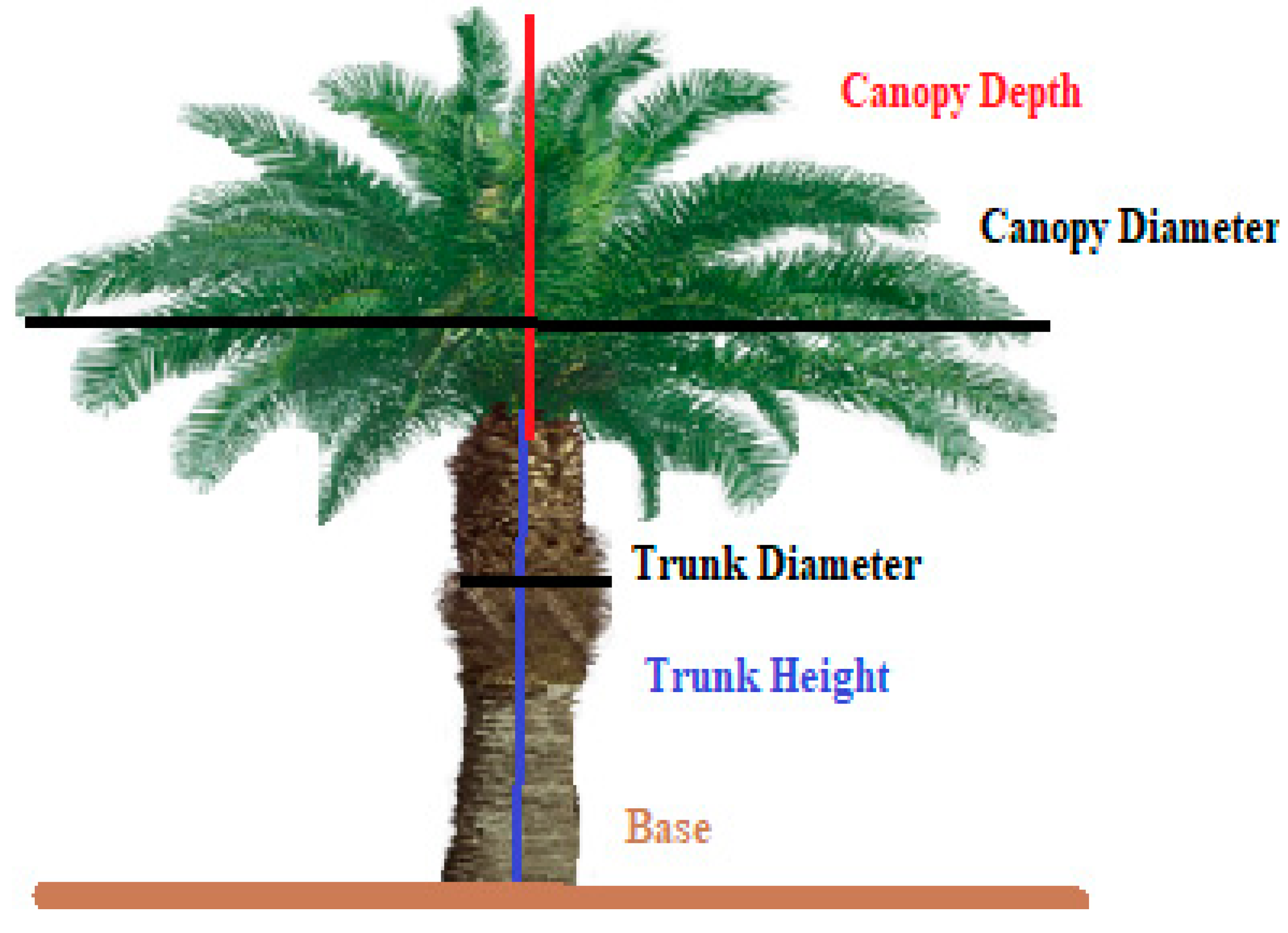 Sensors 22 05397 g003 Sensors 22 05397 g003