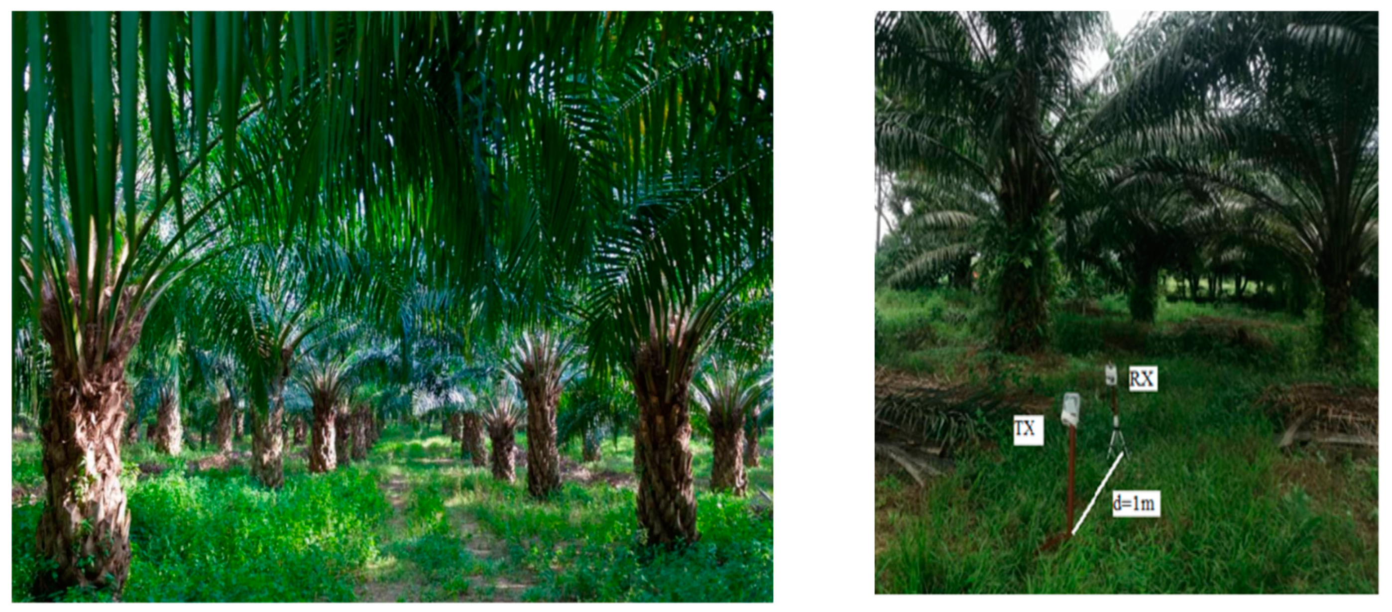 Sensors 22 05397 g005 Sensors 22 05397 g005