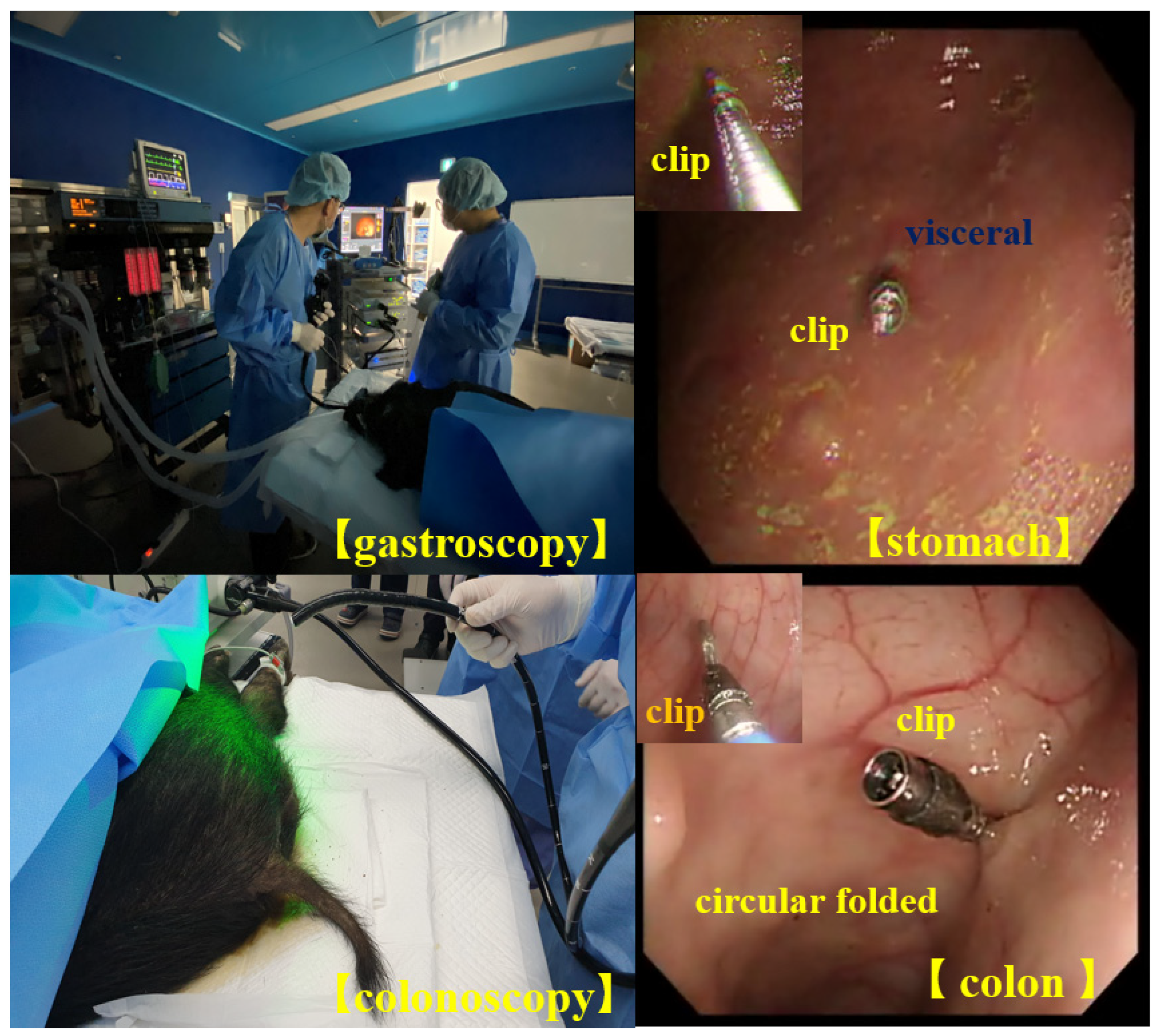 Sensors 22 05404 g012