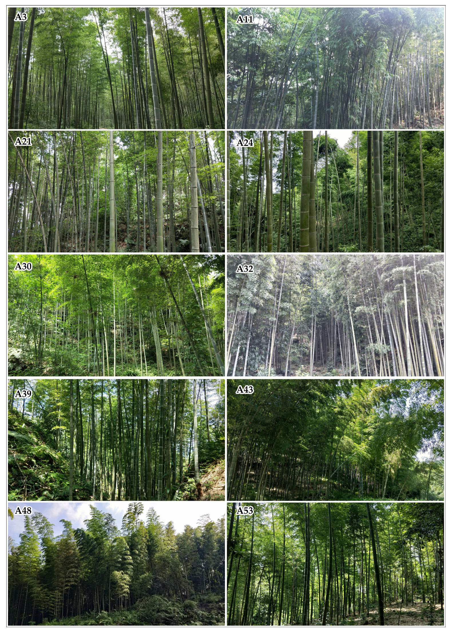 Sensors 22 05434 g0a1 550