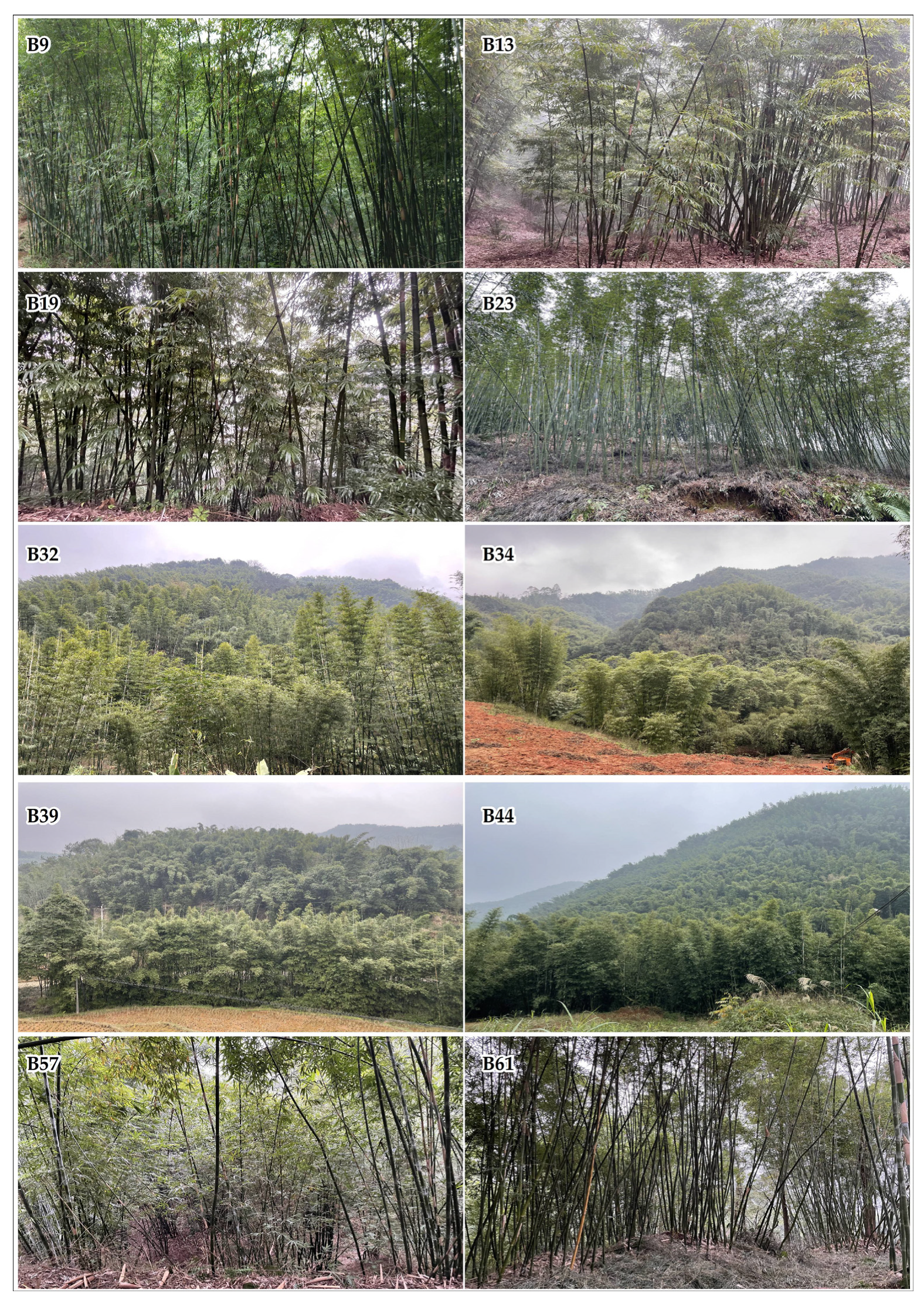 Sensors 22 05434 g0a2 550