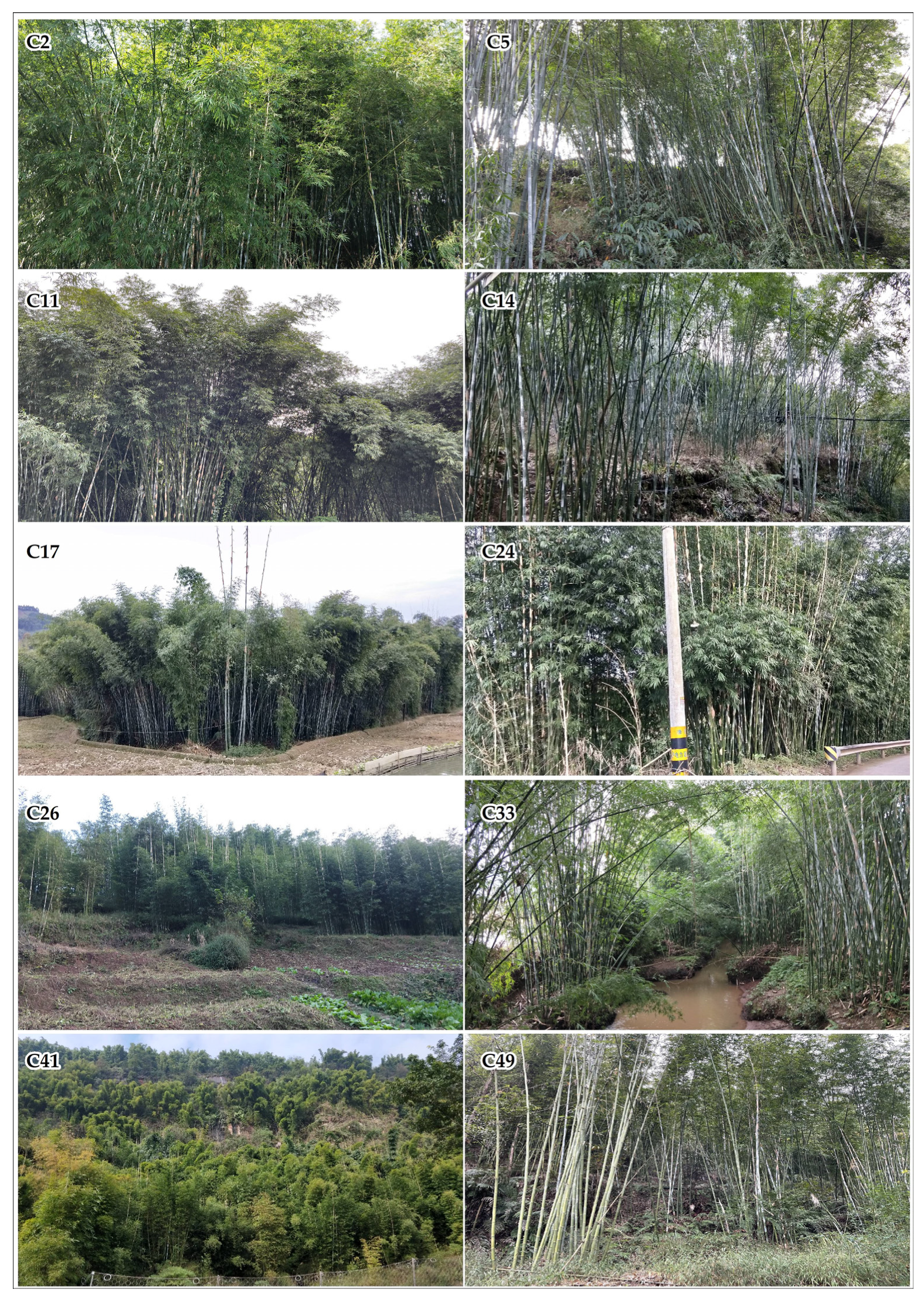 Sensors 22 05434 g0a3 550