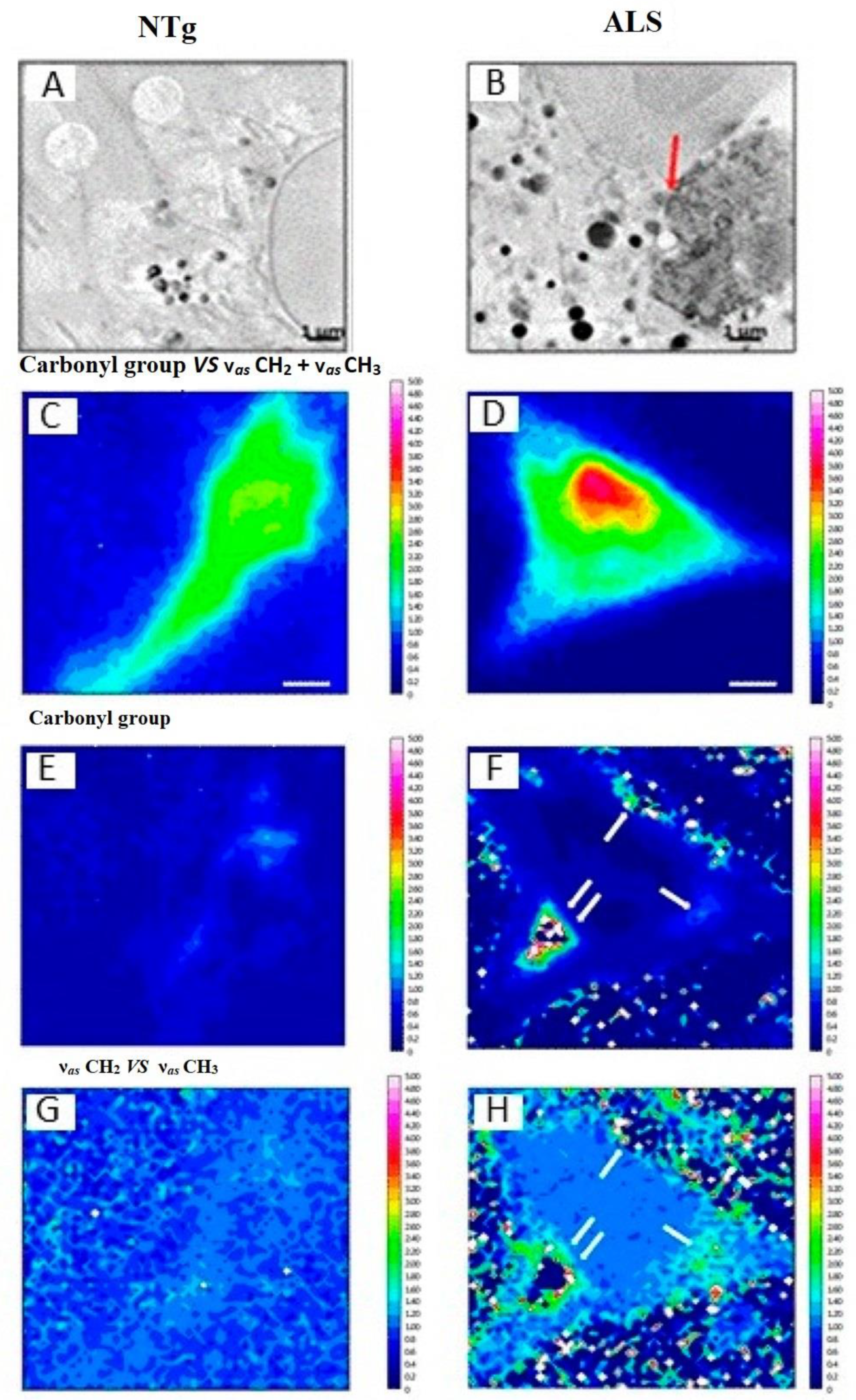 Sensors 22 05443 g002 Sensors 22 05443 g002