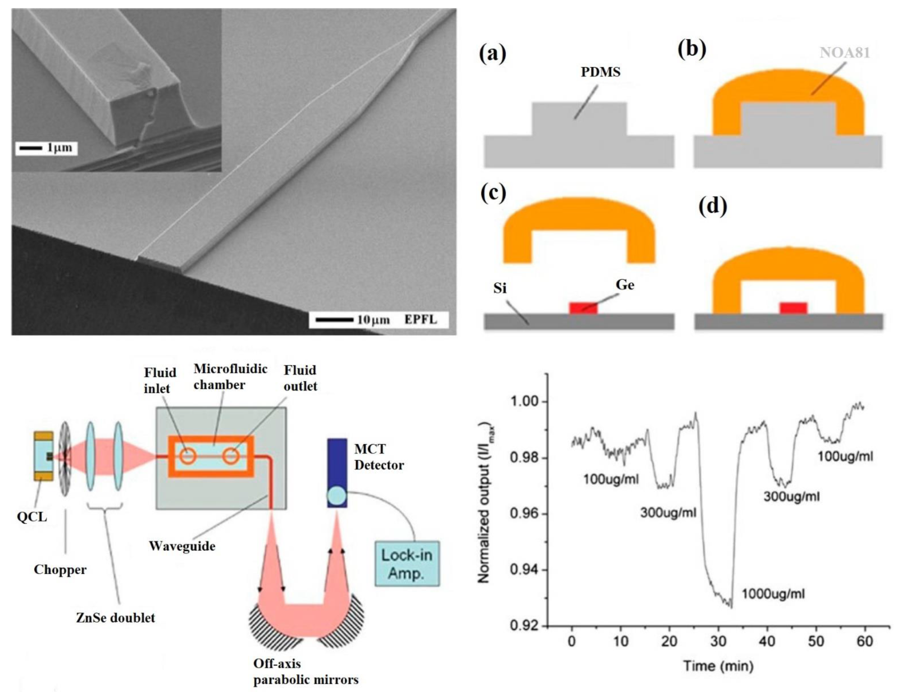 Sensors 22 05443 g008 Sensors 22 05443 g008