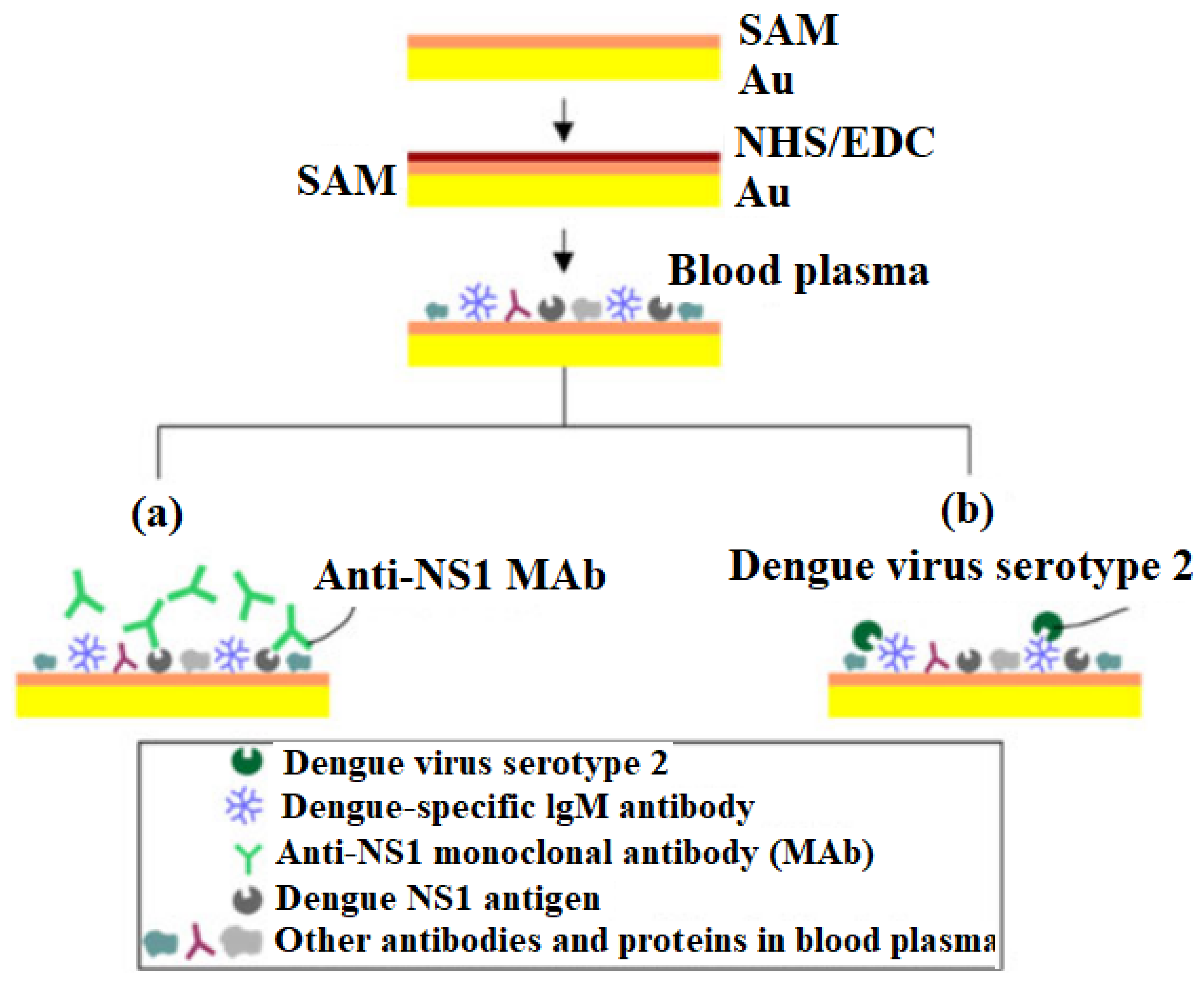 Sensors 22 05443 g010 Sensors 22 05443 g010