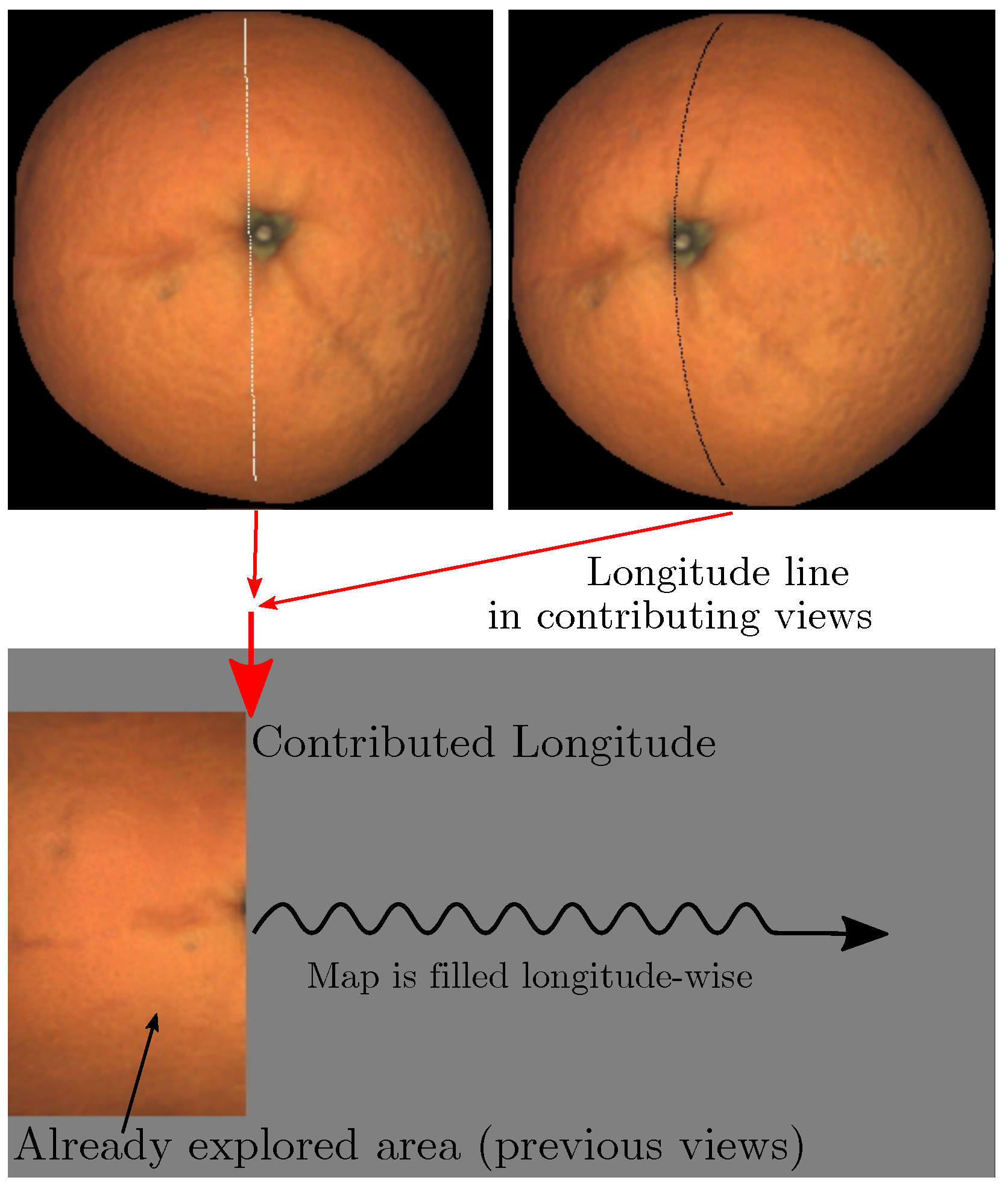 Sensors 22 05452 g007 550