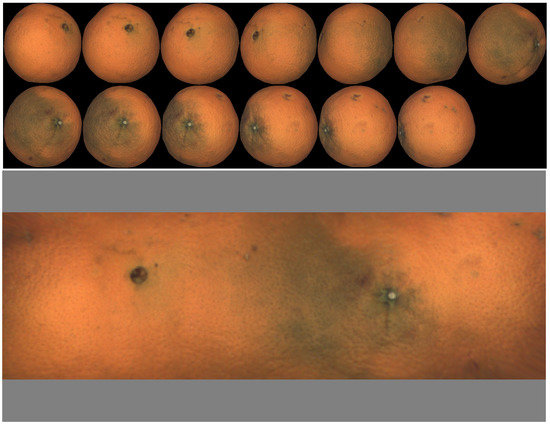 Single Fusion Image from Collections of Fruit Views for Defect