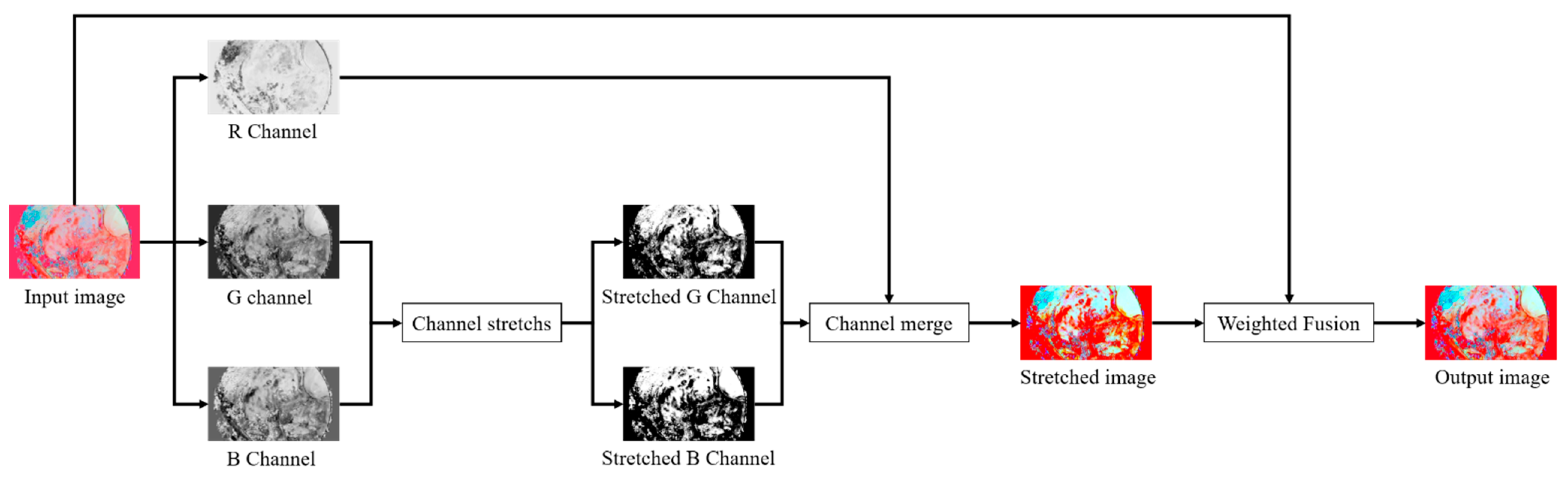 Sensors 22 05464 g005
