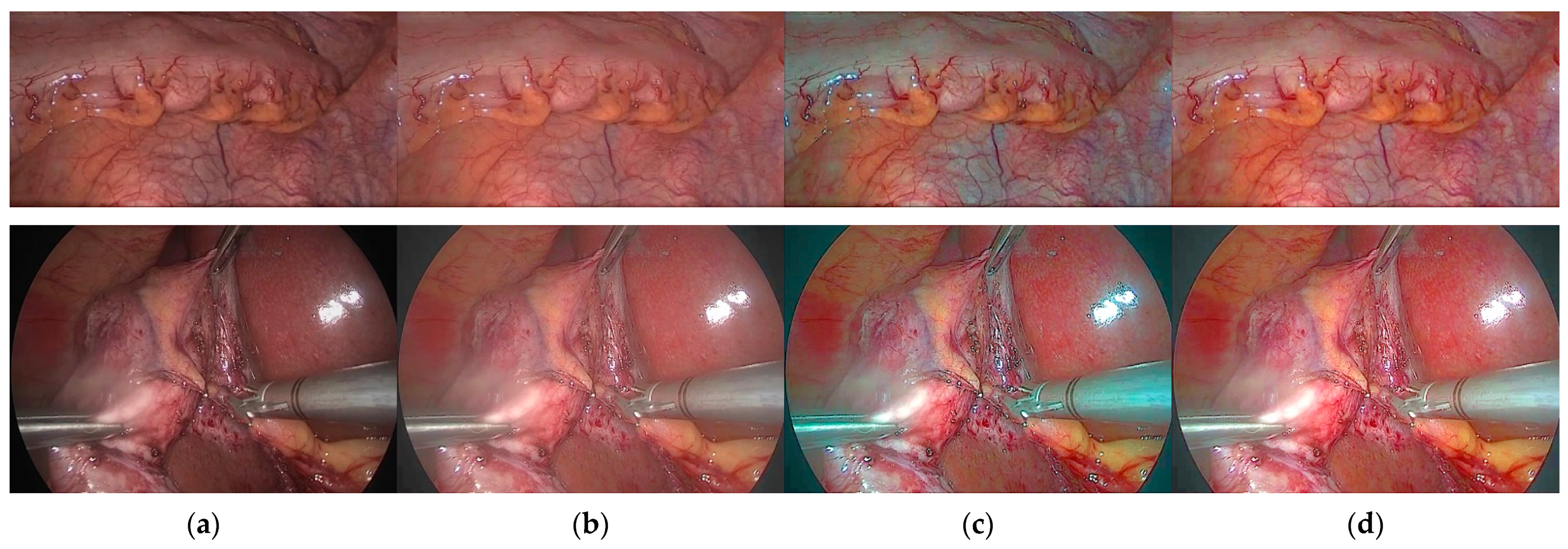 Sensors 22 05464 g013