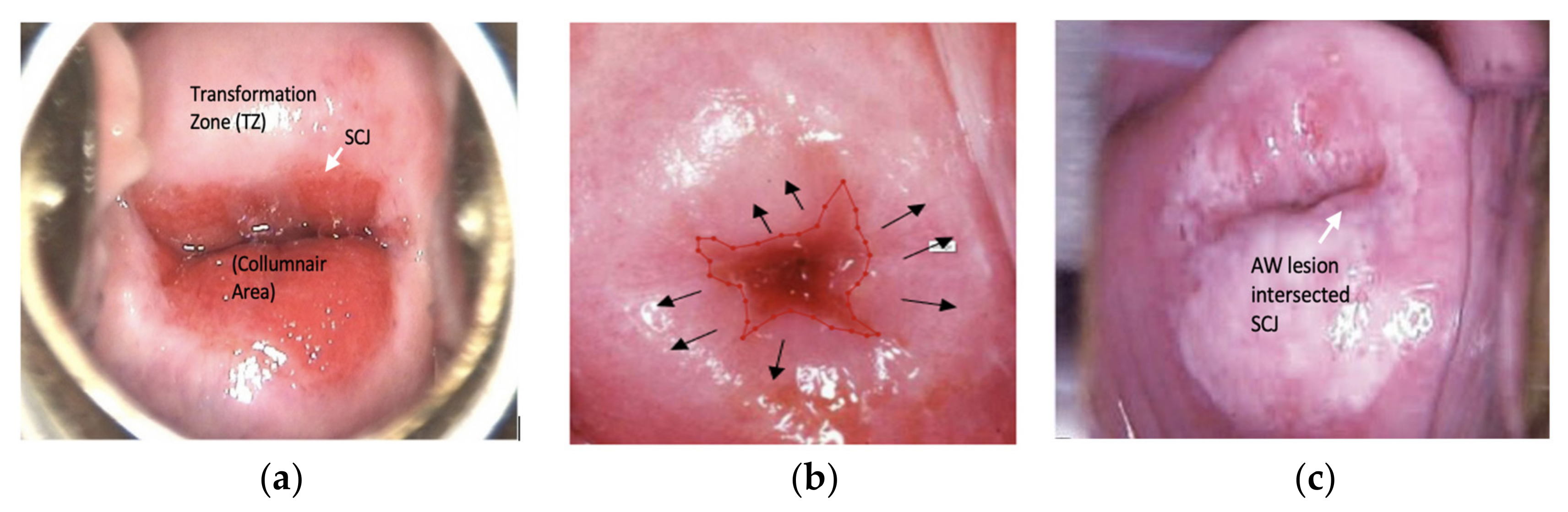 Sensors 22 05489 g002