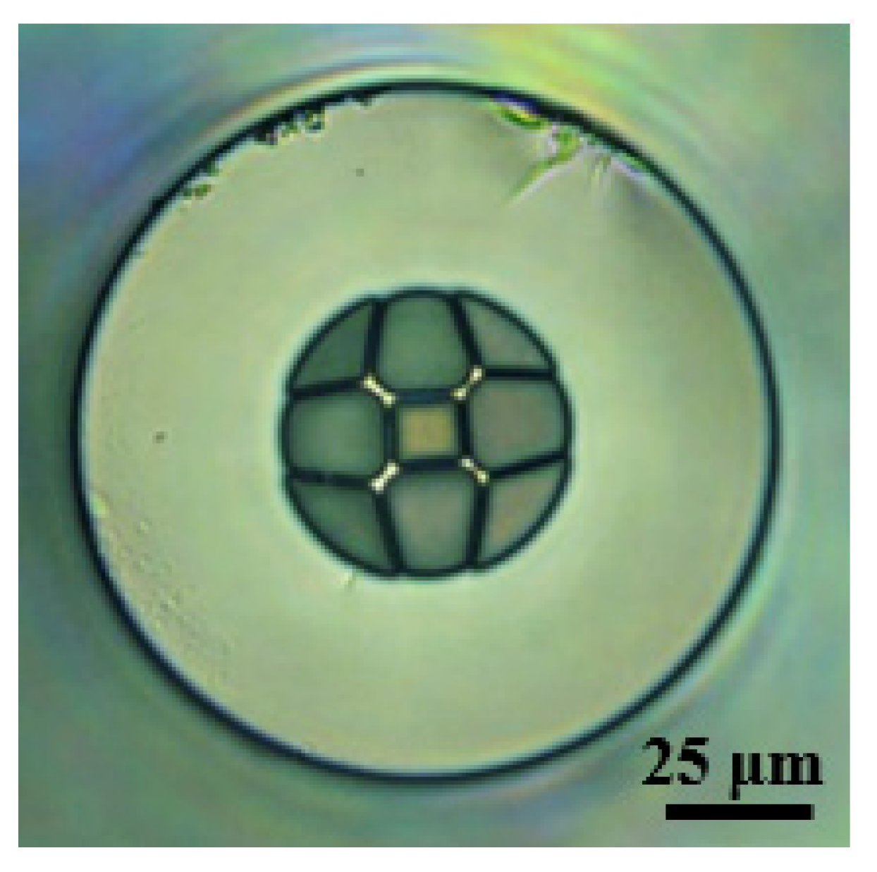 Sensors 22 05498 g002 550