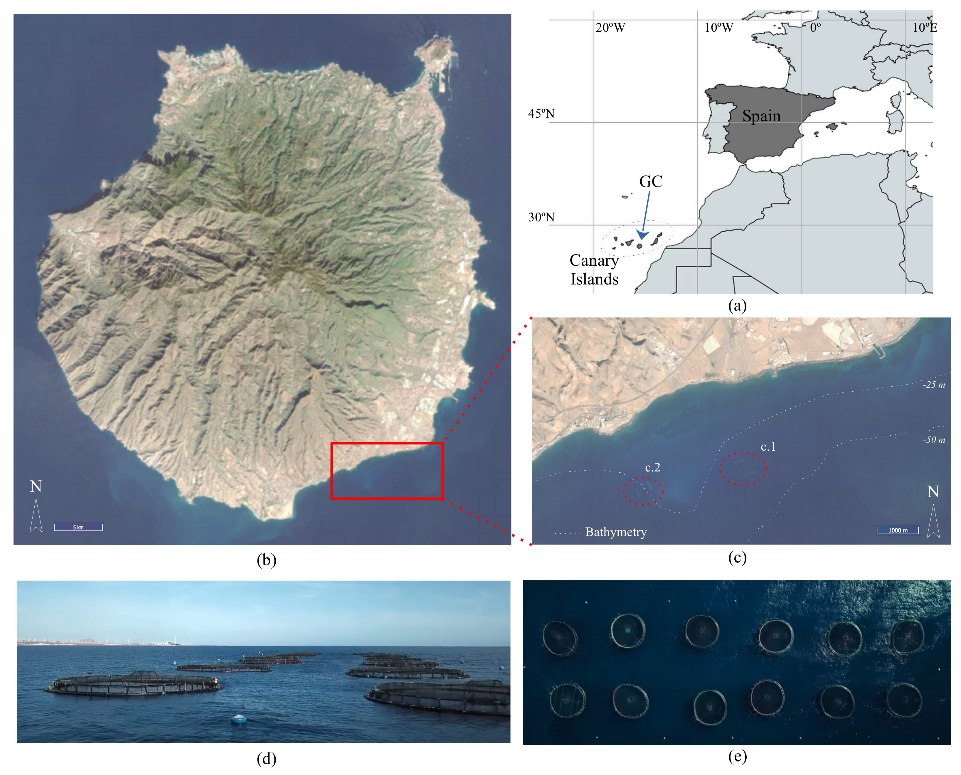 Sensors 22 05513 g007 550