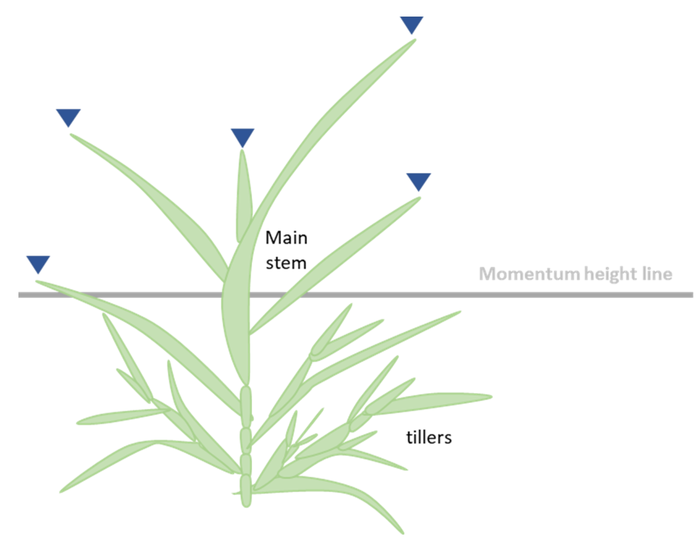 Sensors Free FullText ImageBased Phenotyping for NonDestructive