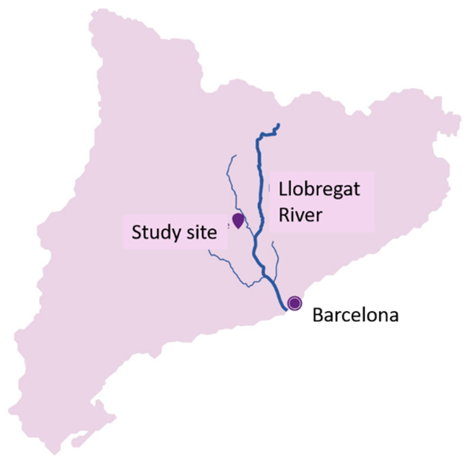 Sensors 22 05578 g001