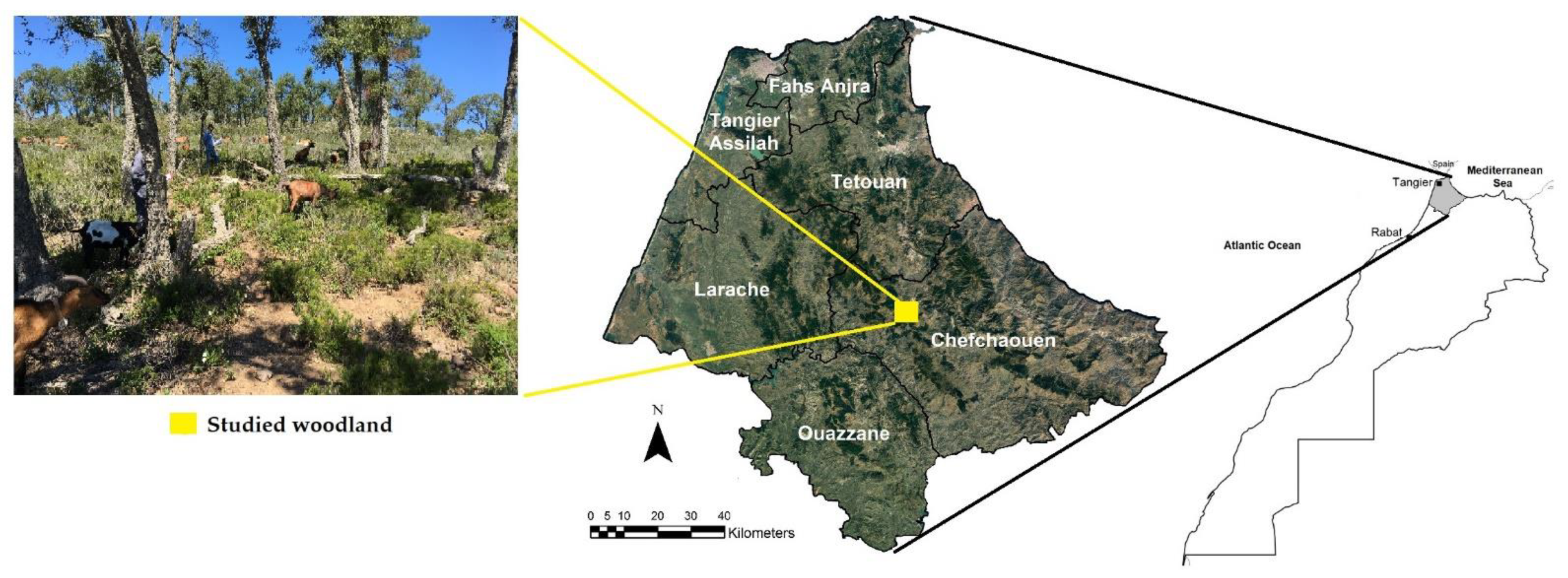 Sensors 22 05629 g001 Sensors 22 05629 g001