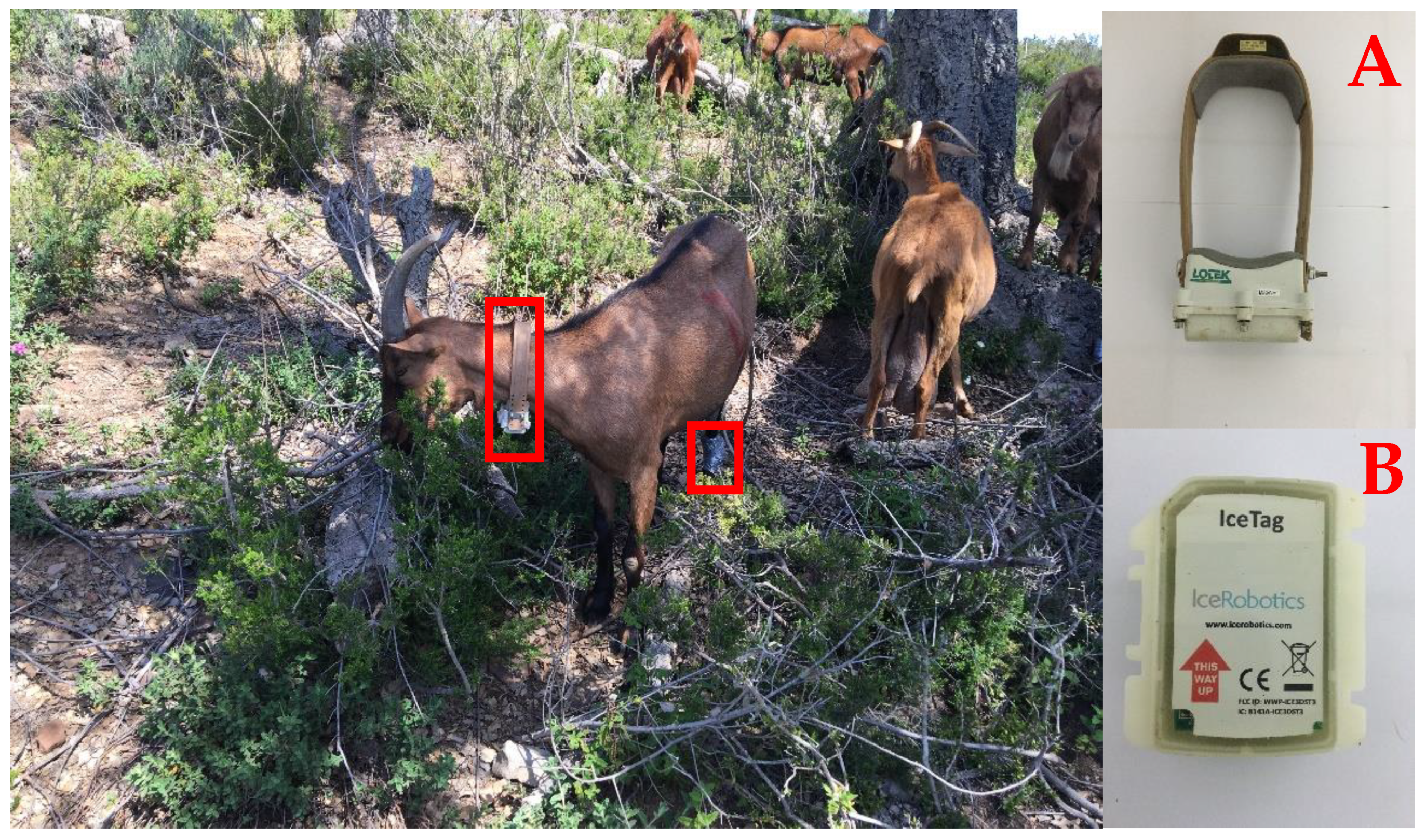 Sensors 22 05629 g002 Sensors 22 05629 g002