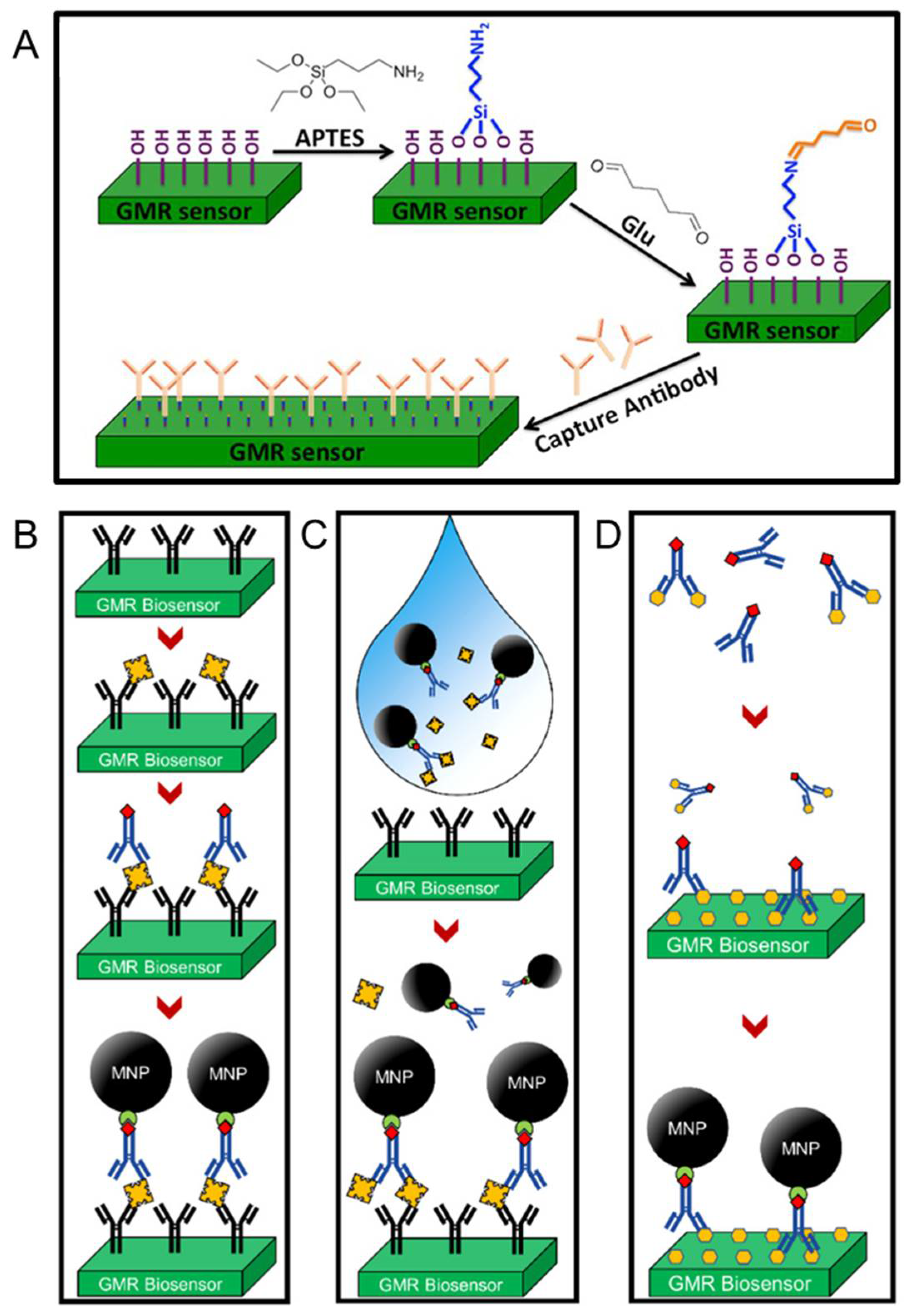 Sensors 22 05663 g004
