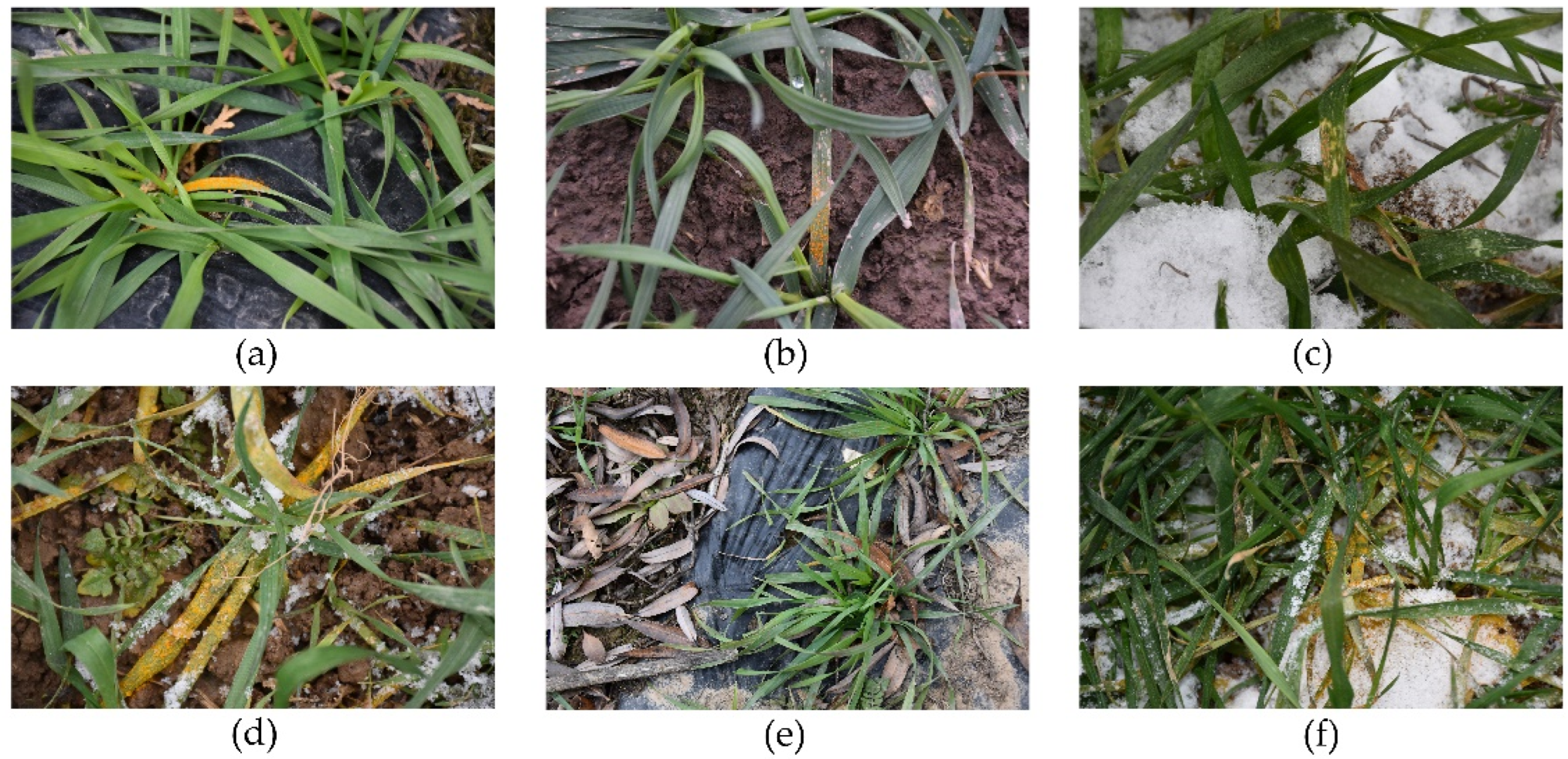 Sensors 22 05676 g002