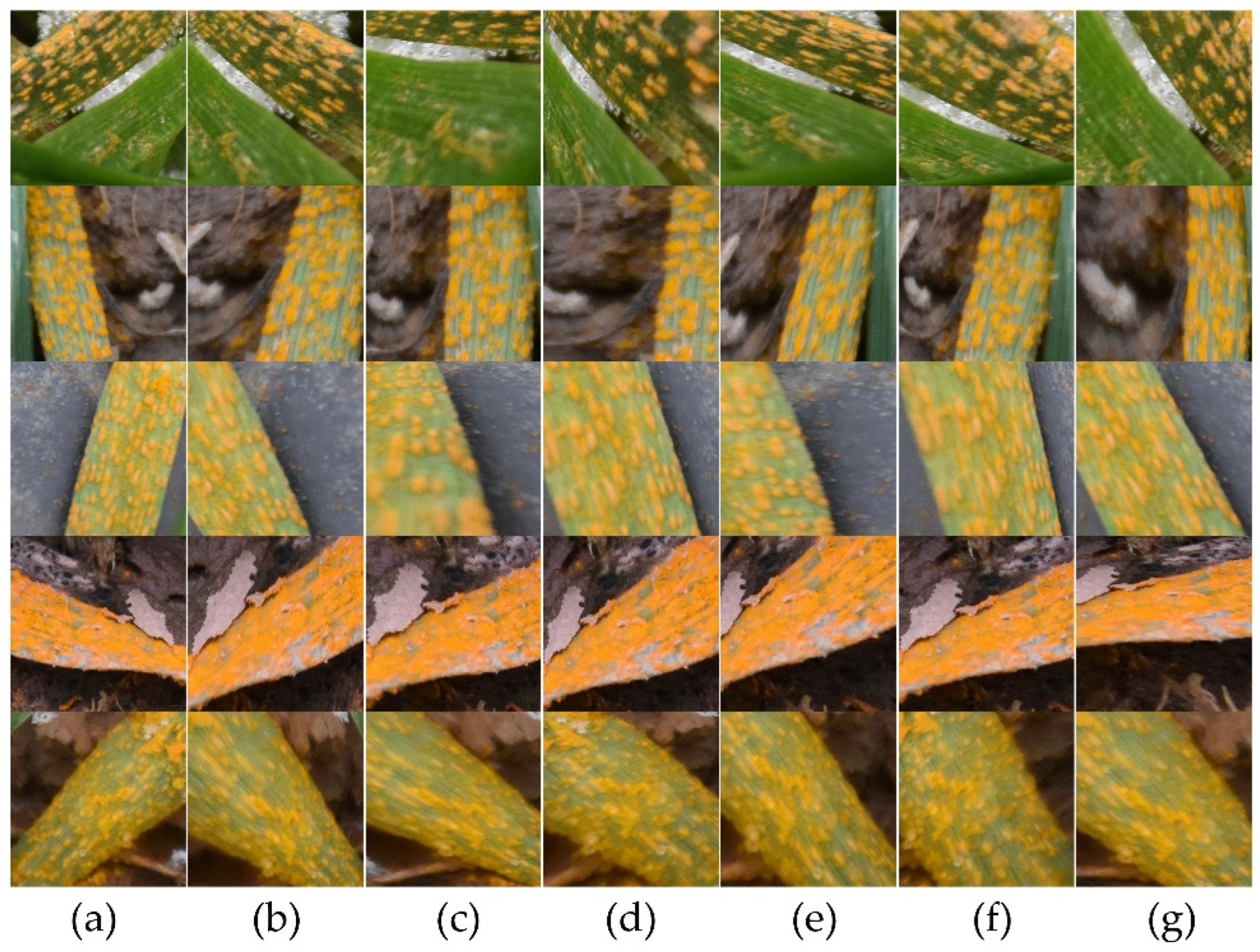 Sensors 22 05676 g004