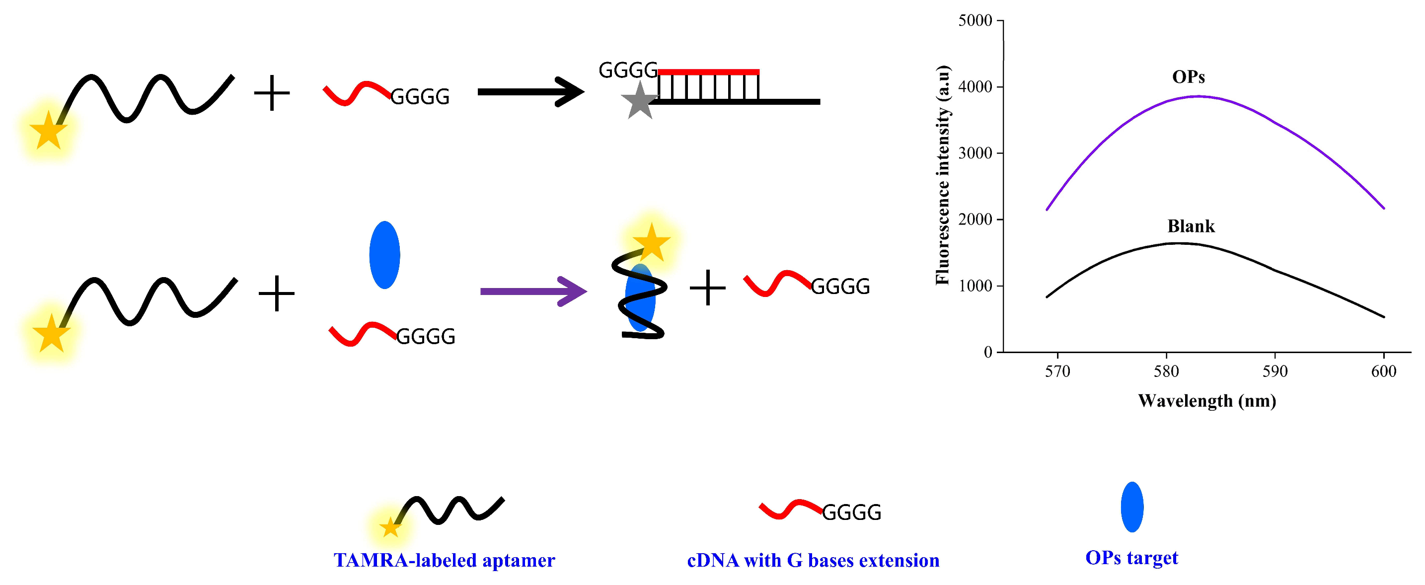 Sensors 22 05712 sch001