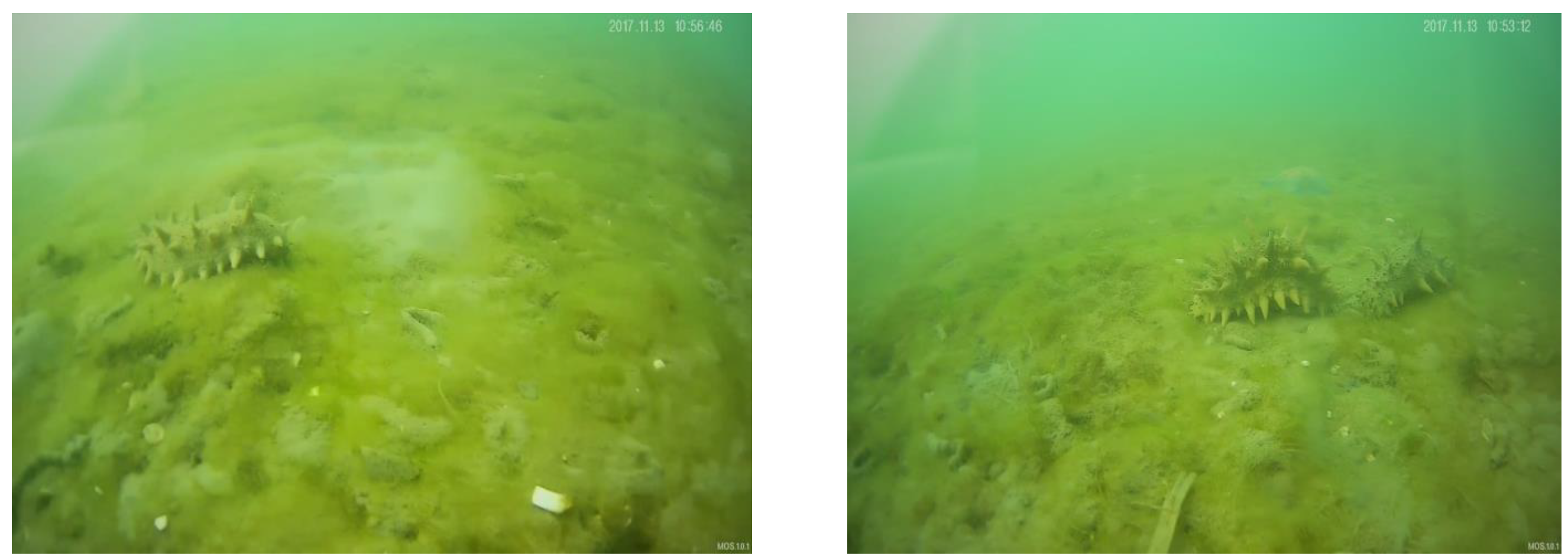 Sensors 22 05717 g003 550