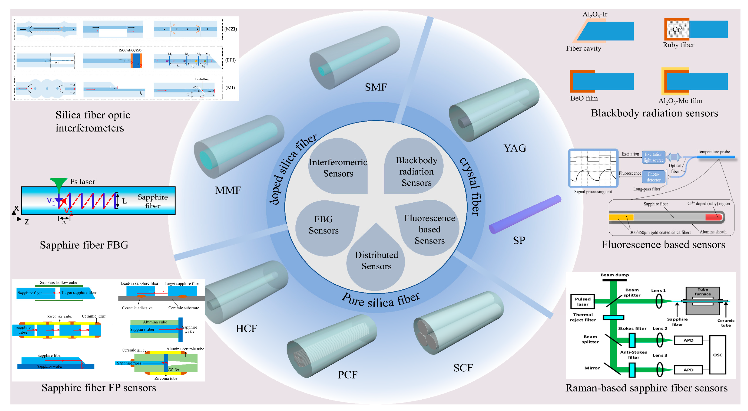 AI-integrated multiplexed optical fiber sensor for dynamic brain