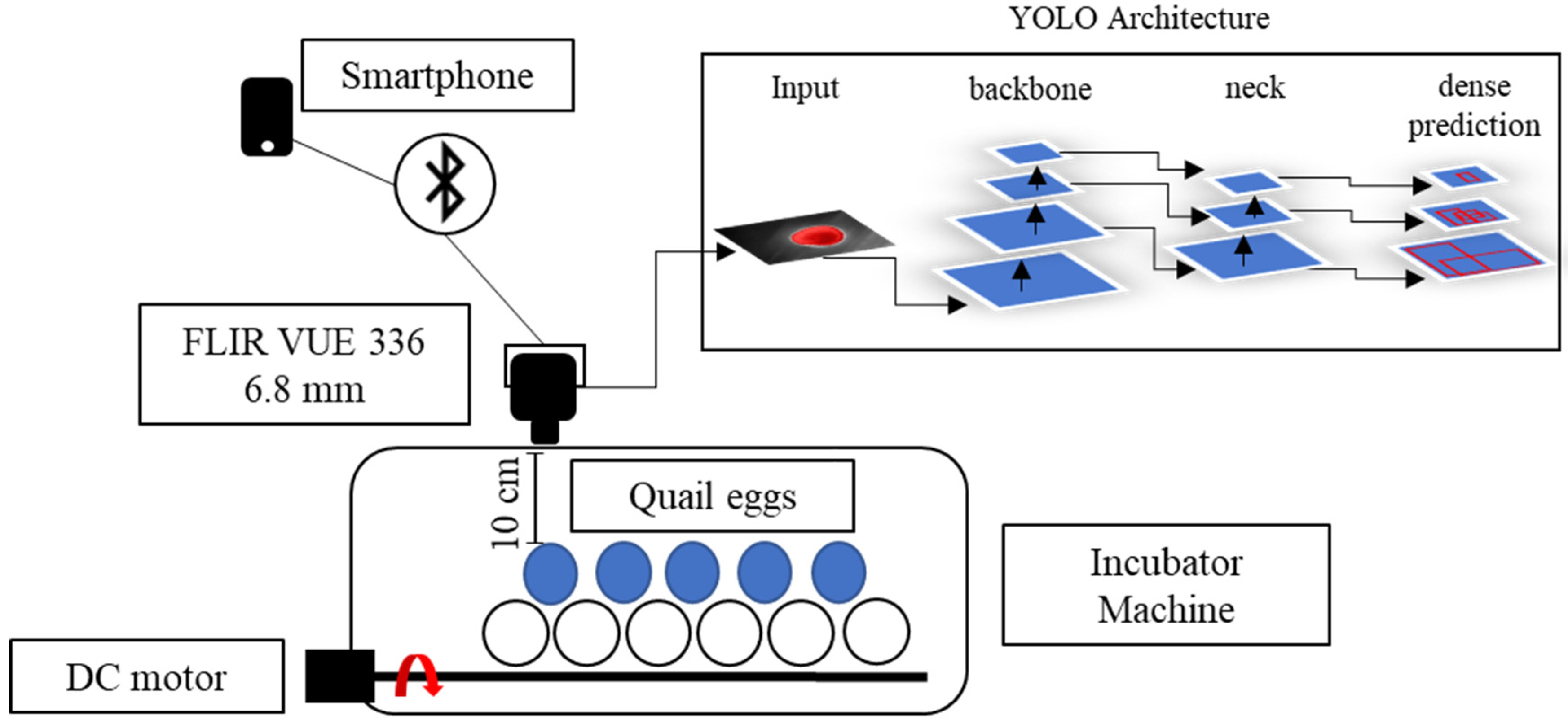Sensors Free FullText Development of an Early Embryo Detection