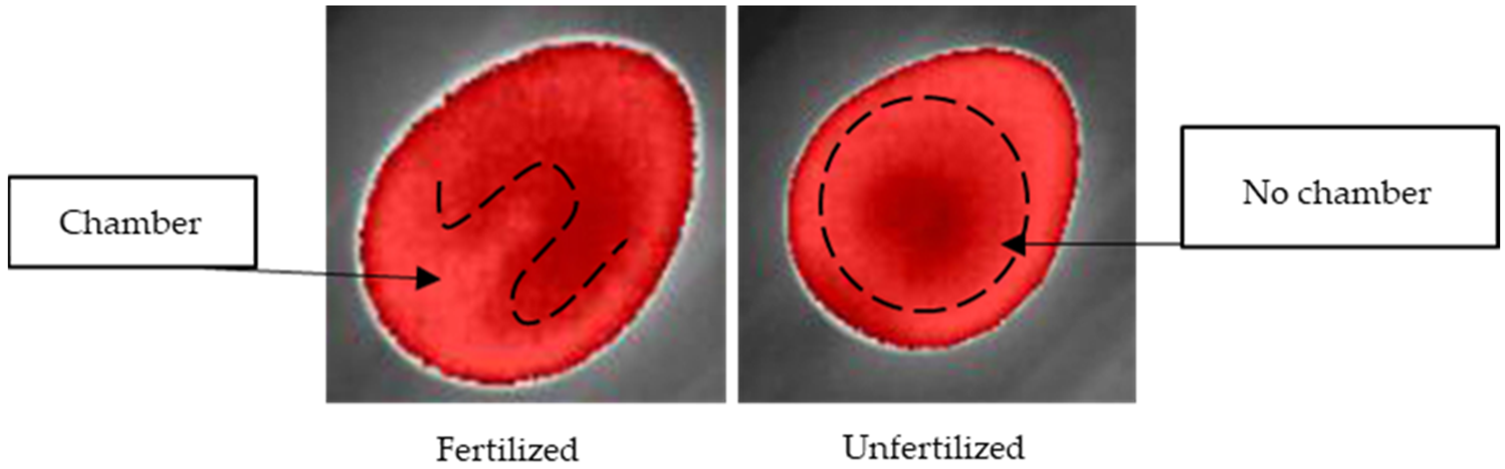 Sensors 22 05820 g008 550