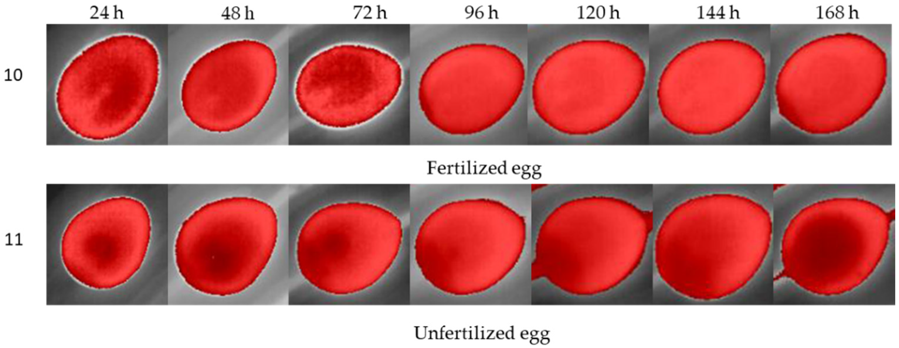 Sensors 22 05820 g009 550