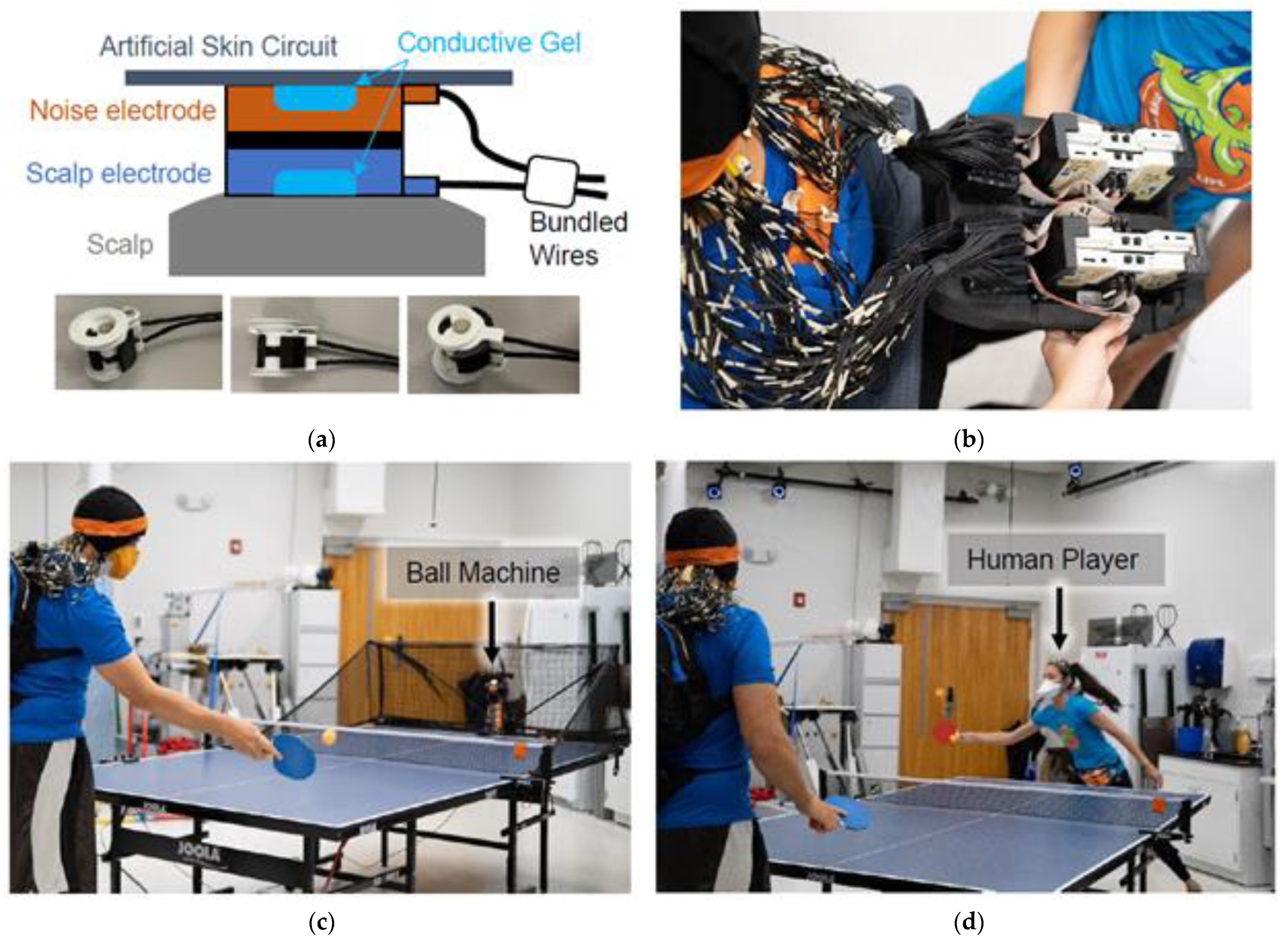 Sensors Free Full-Text Characterizing and Removing Artifacts Using Dual-Layer EEG during Table Tennis