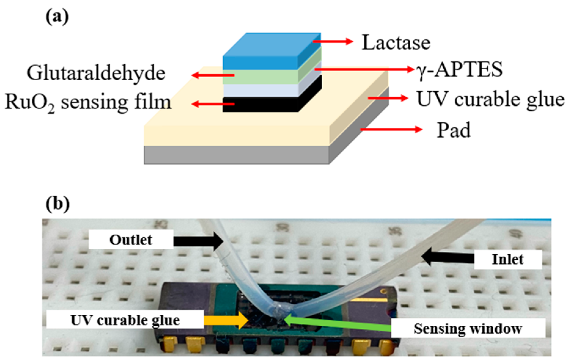 Sensors 22 05905 g004
