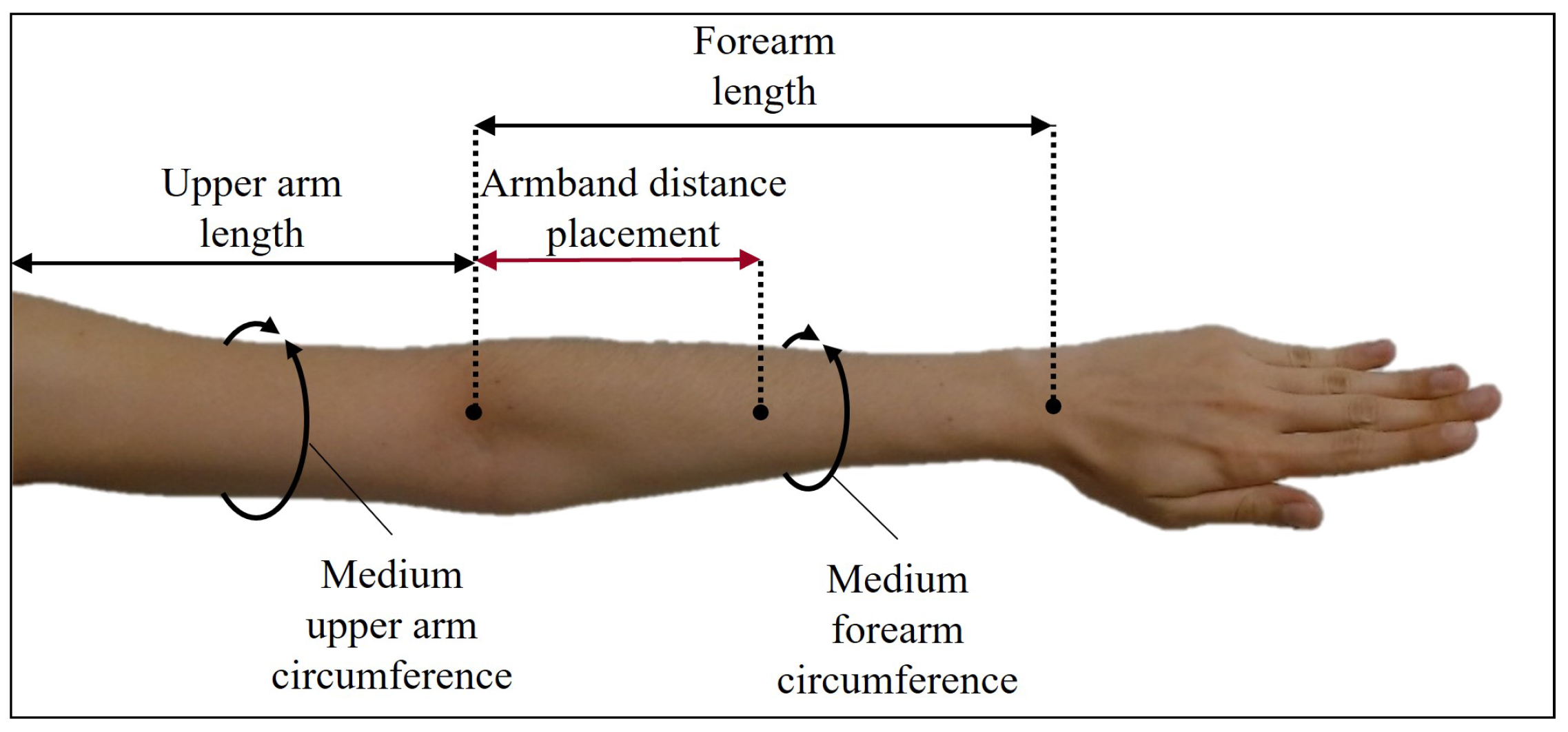 Forearm Measurement