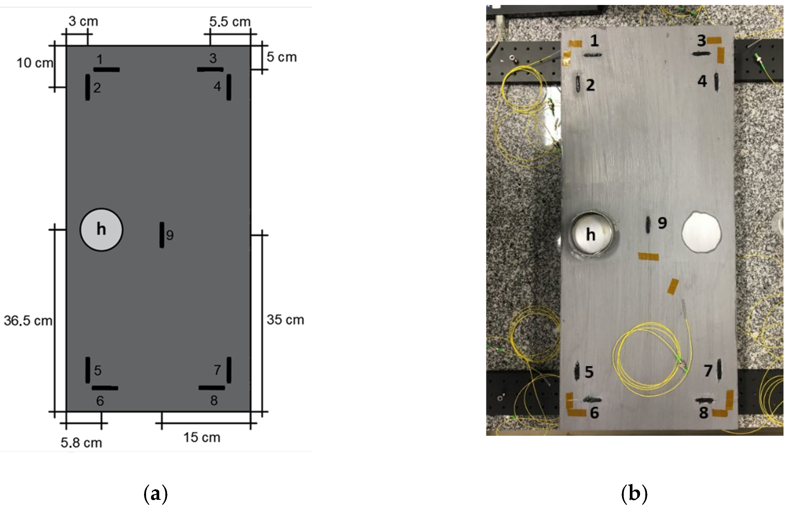 Sensors 22 05947 g001