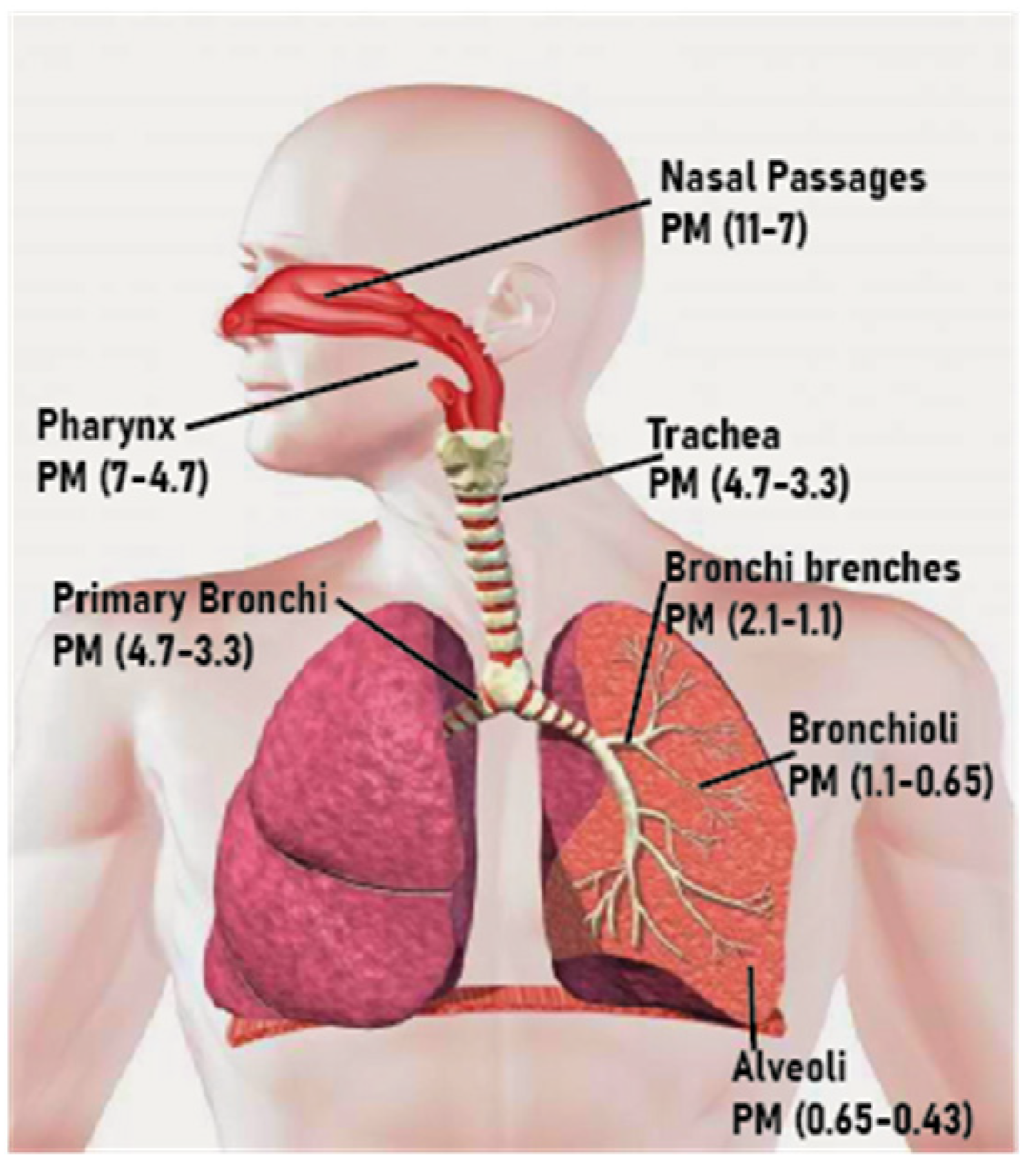 Sensors 22 05994 g001 550