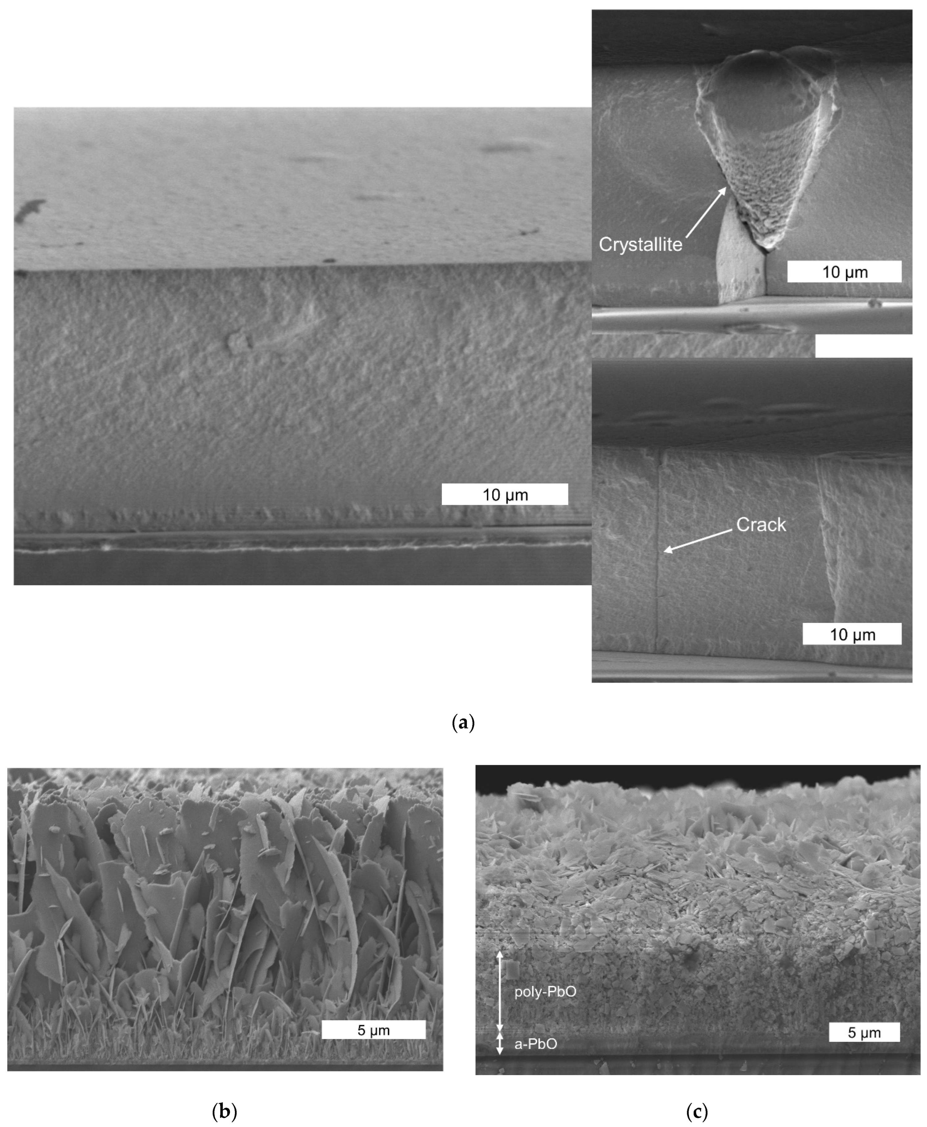 Sensors 22 05998 g008 550