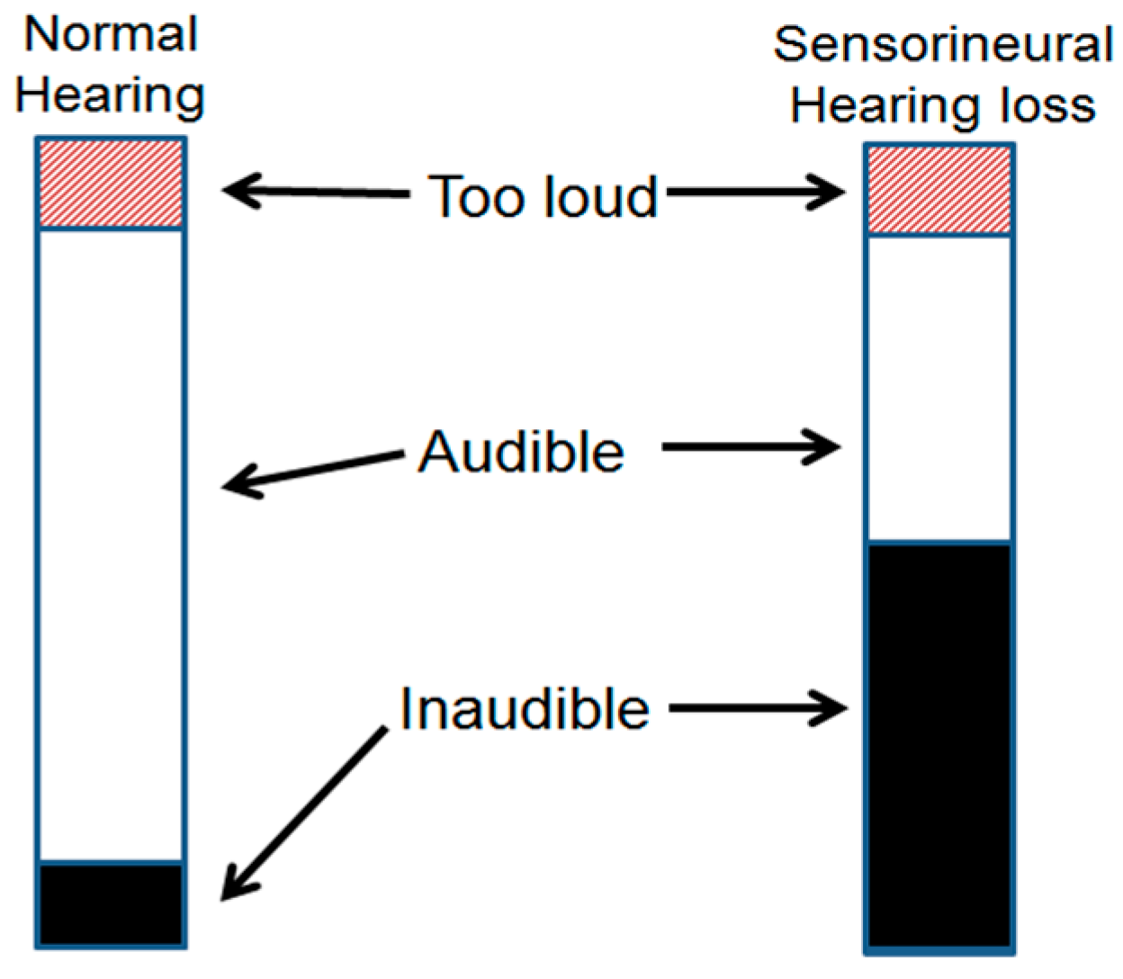 Sensors 22 06033 g001