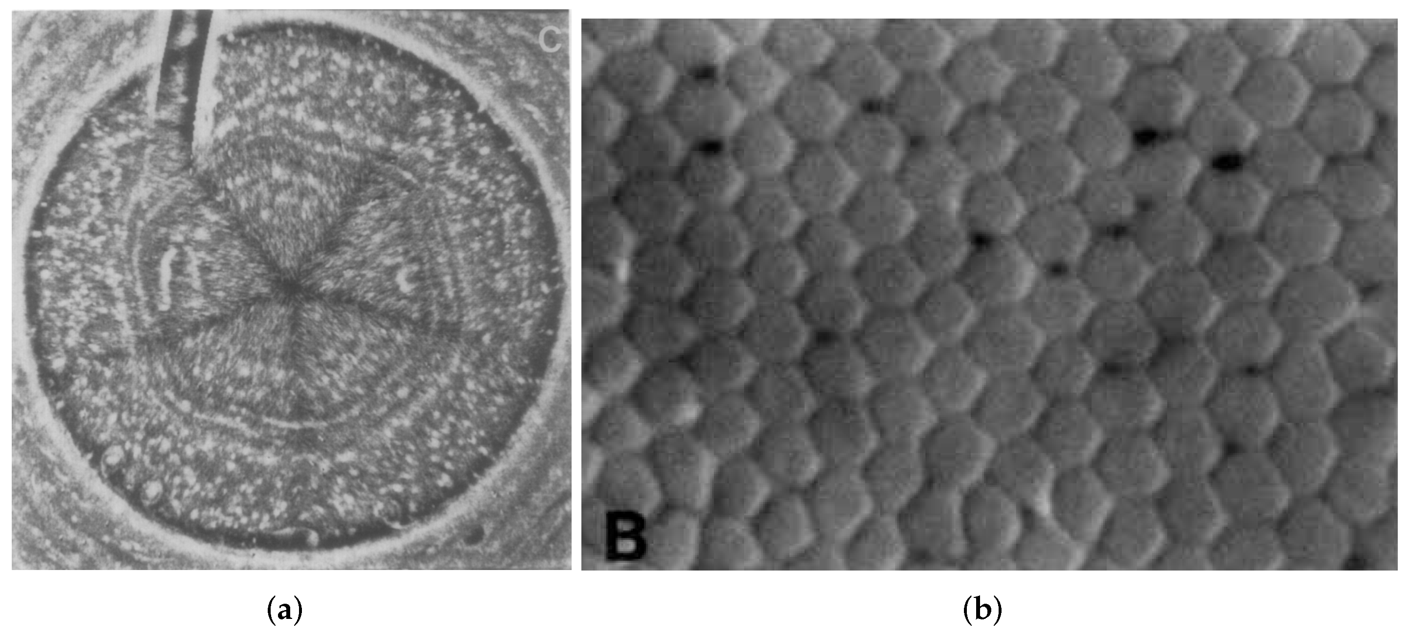 Sensors 22 06221 g001 550
