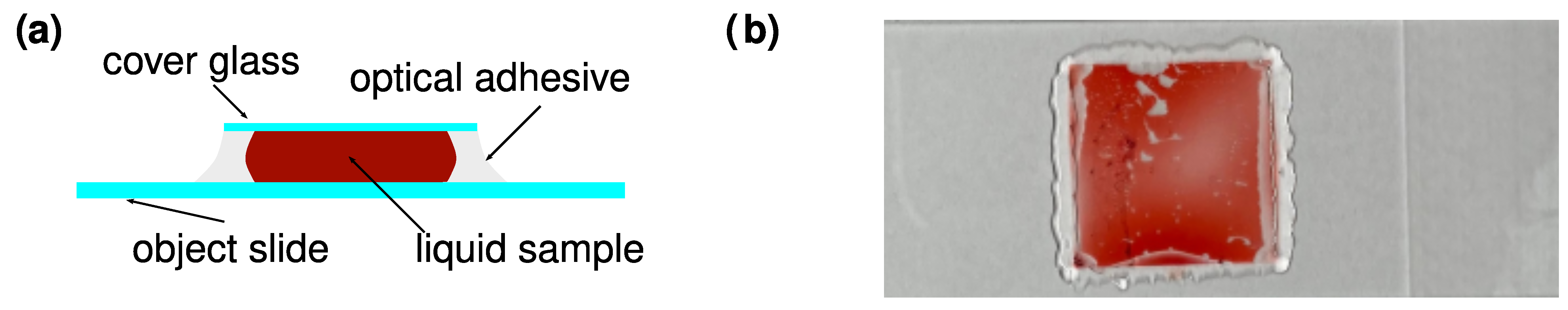 Sensors 22 06274 g0a3