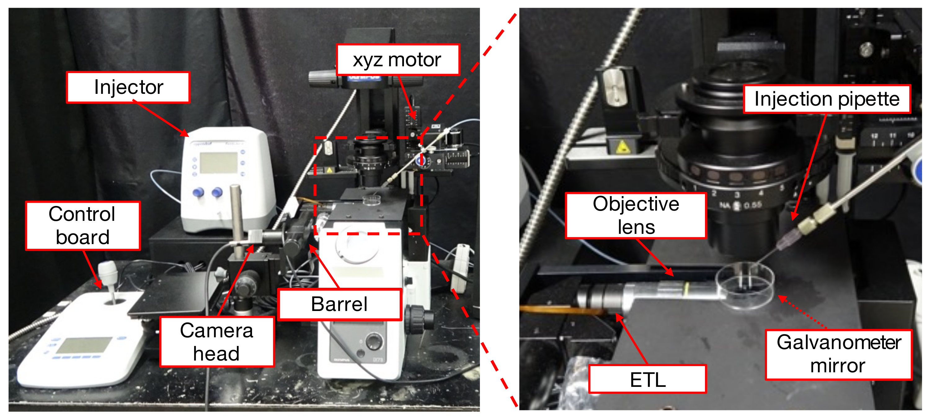 Sensors 22 06309 g002 550