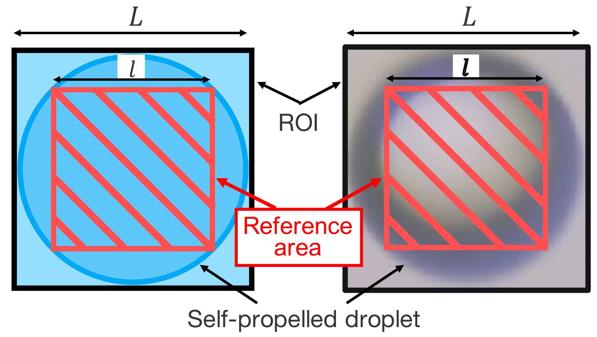 Sensors 22 06309 g005 550
