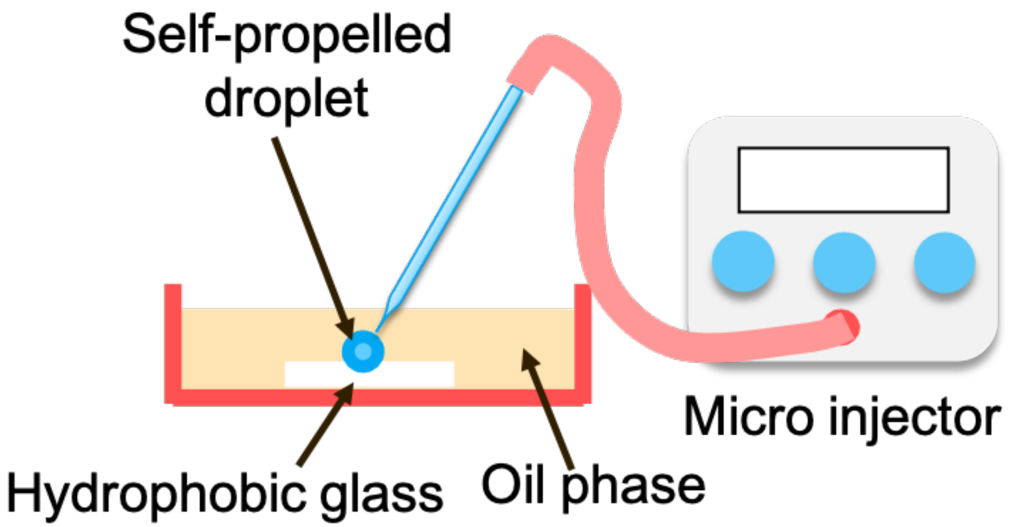 Sensors 22 06309 g006 550